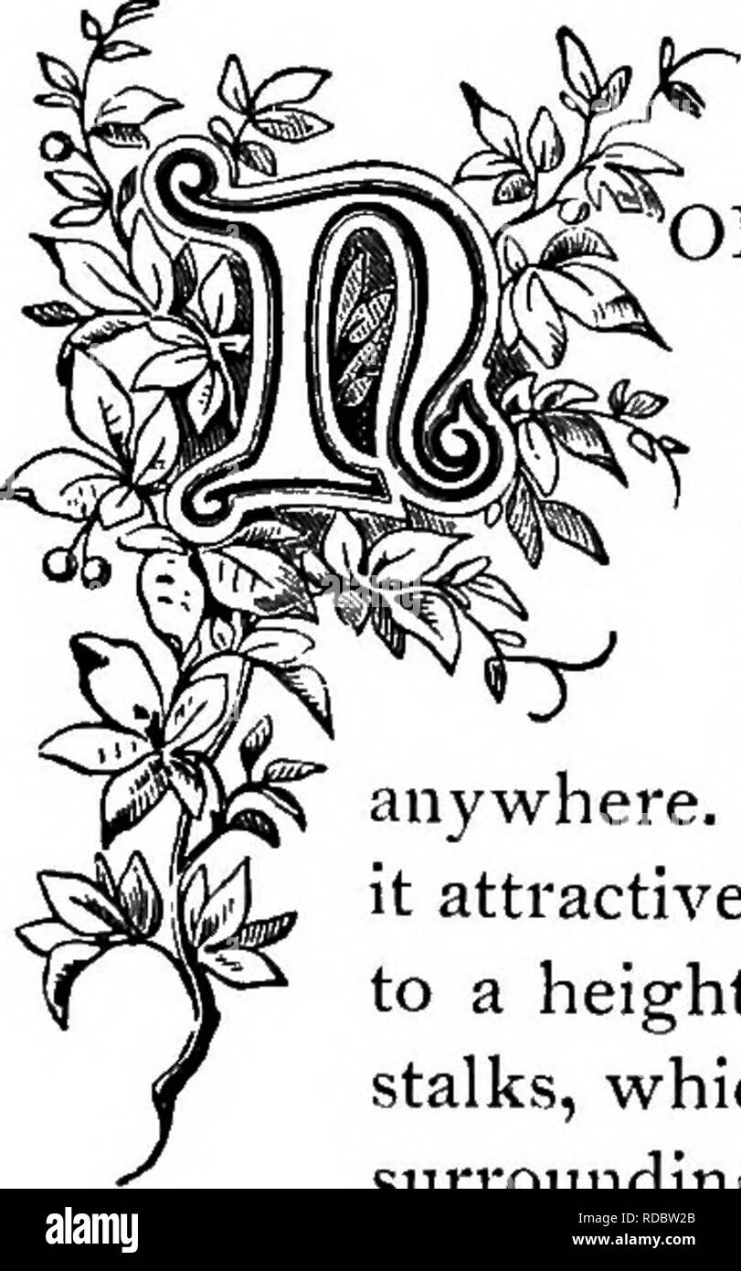 . The floral kingdom its history, sentiment and poetry A dictionary