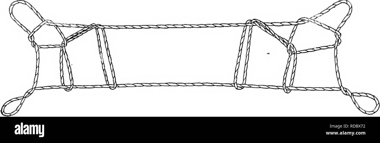 . Report of the Canadian Arctic Expedition 1913-18. Scientific expeditions. Eskimo String Figures 71 B You have left only one loop on each thumb. Drop the index loops. You have "the two fawns," one on each side, facing in opposite directions. (All the last movements with the thumbs recur in several other figures. See Nos. XXXII, XXXIII, XXXIY.). Fig. 78 LVIII. Two Small Seagulls = nawyatoafc (Mackenzie river and Corona- tion gulf) The movements of this figure are rather unusual. Opening A. Pass the thumbs down on the proximal side of the other strings and from the proximal side take Stock Photo