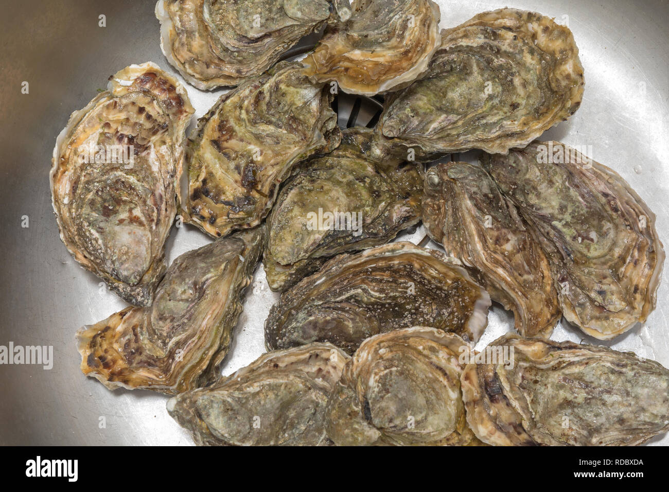 Big Bunch of Fresh Oysters Seafood Stock Photo