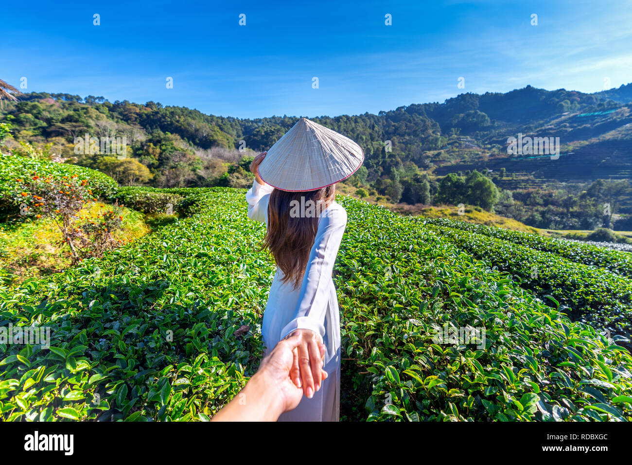 Asian woman wearing Vietnam culture traditional holding man's hand and leading him to green tea field. Stock Photo