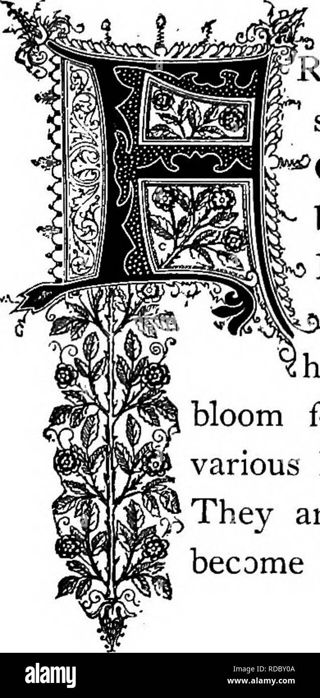 Vaunting hires stock photography and images Alamy