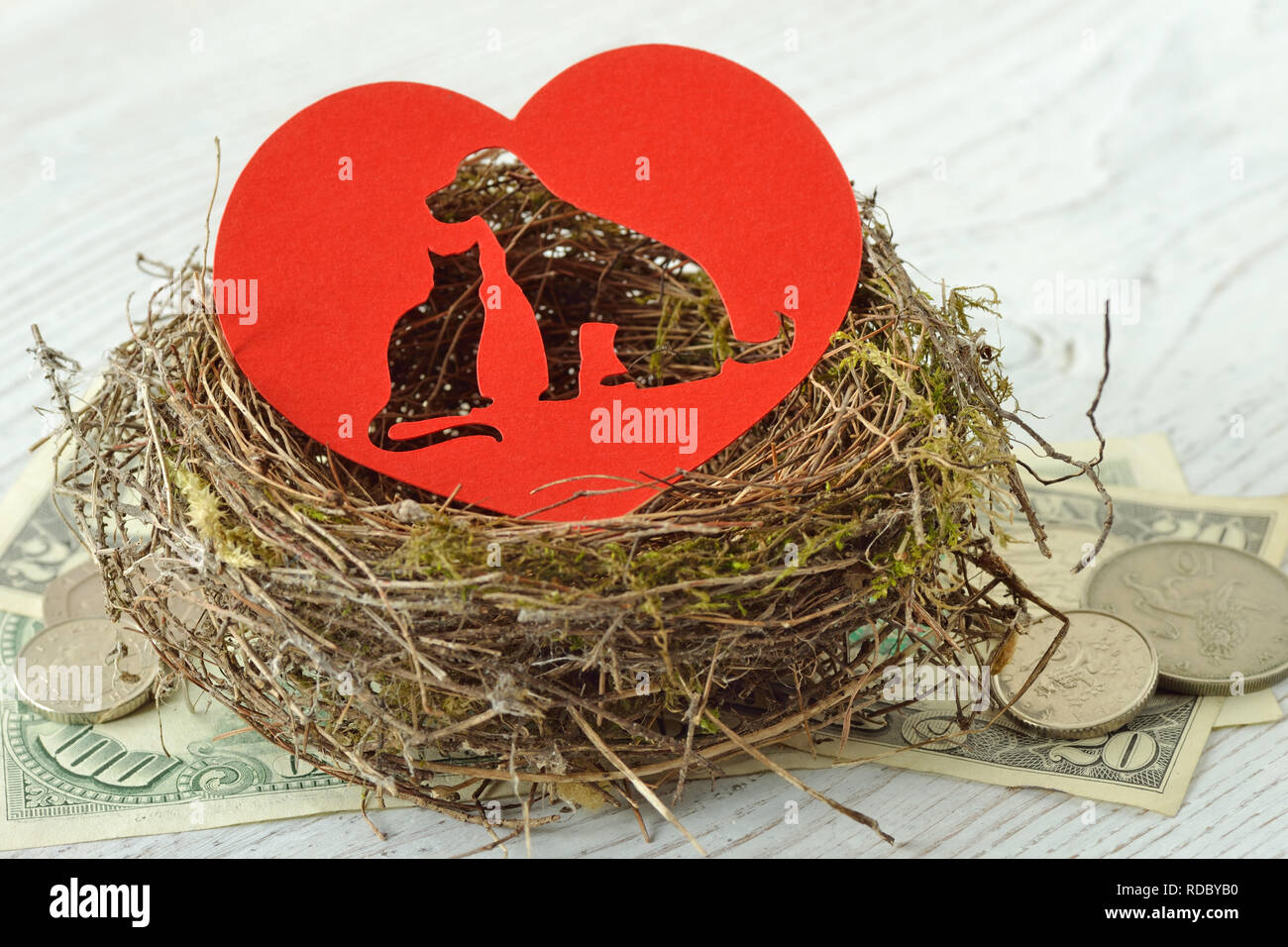 Cat and dog silhouette cut out in paper heart in a nest on money - Concept of pet shelter donations Stock Photo