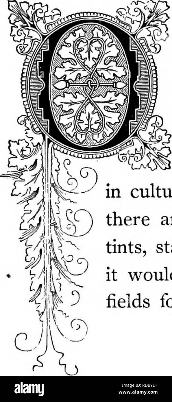 The Floral Kingdom : Its History, Sentiment And Poetry : A Dictionary Of  More Than Three Hundred Plants, With The Genera And Families To Which They  Belong, And The Language Of