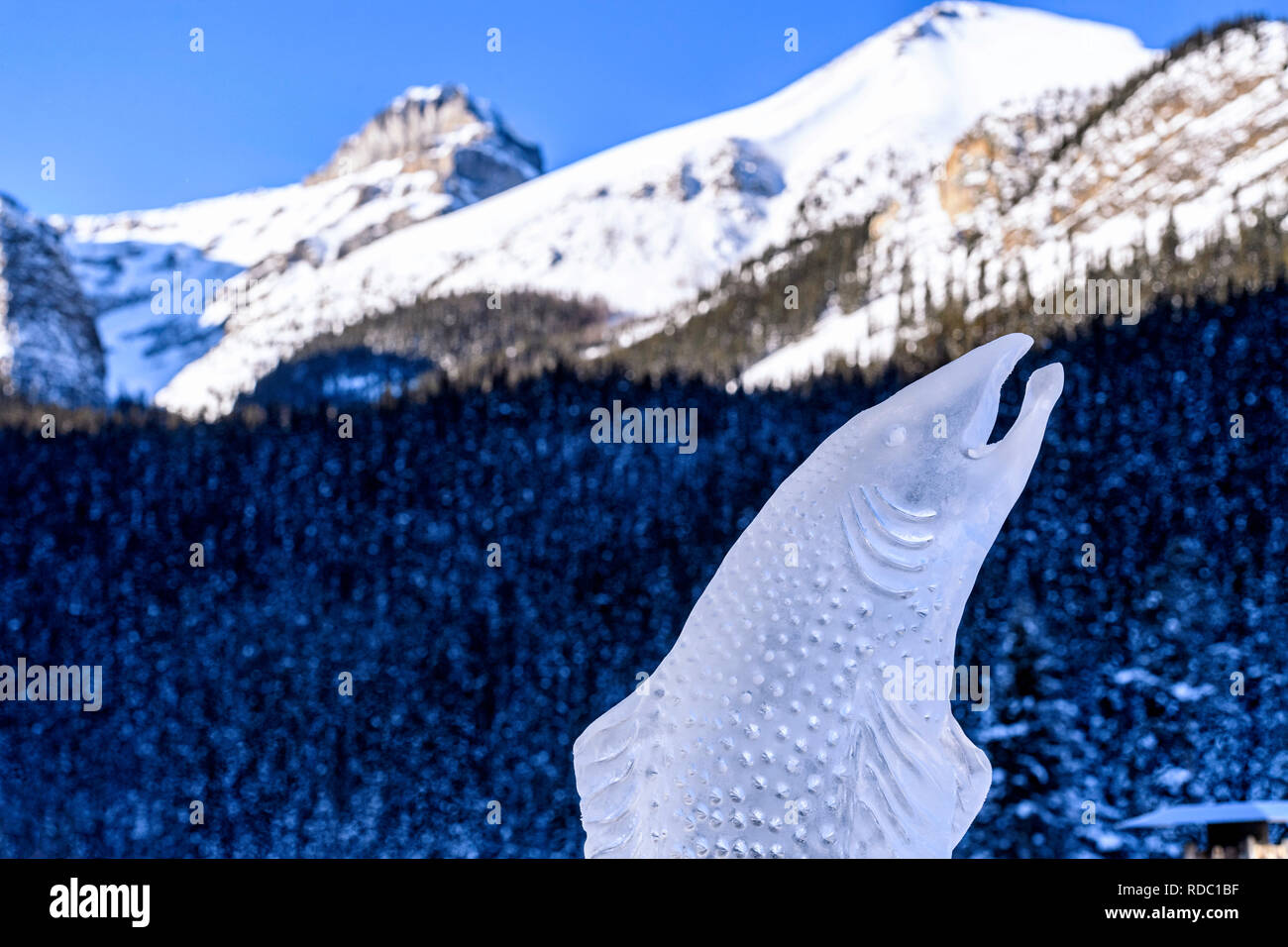 The Lake Louise Ice Magic Festival in Banff National Park, Alberta ...