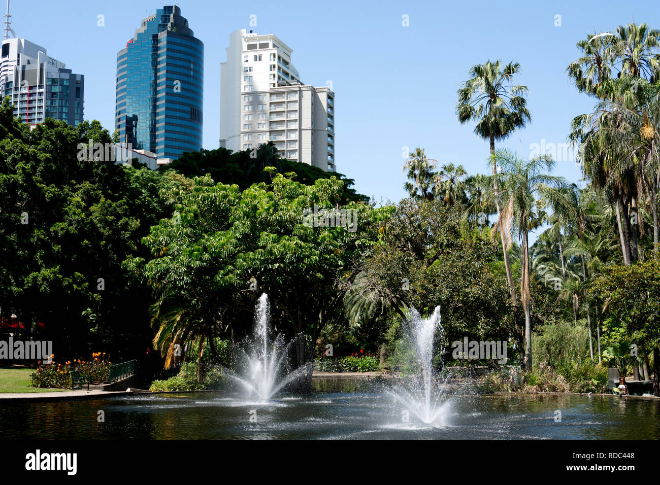 City Botanic Gardens, Brisbane, Queensland, Australia Stock Photo Alamy