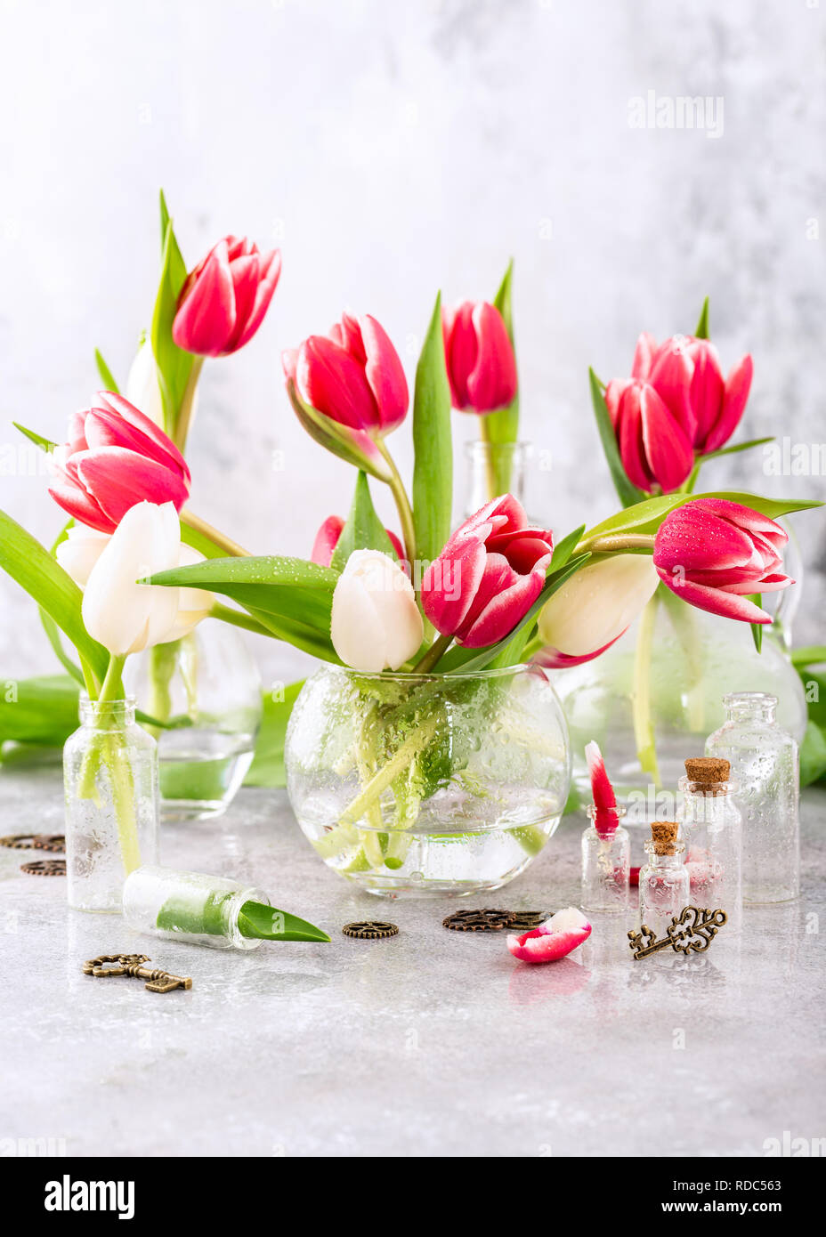 Pink and white tulips in glass vases Stock Photo - Alamy