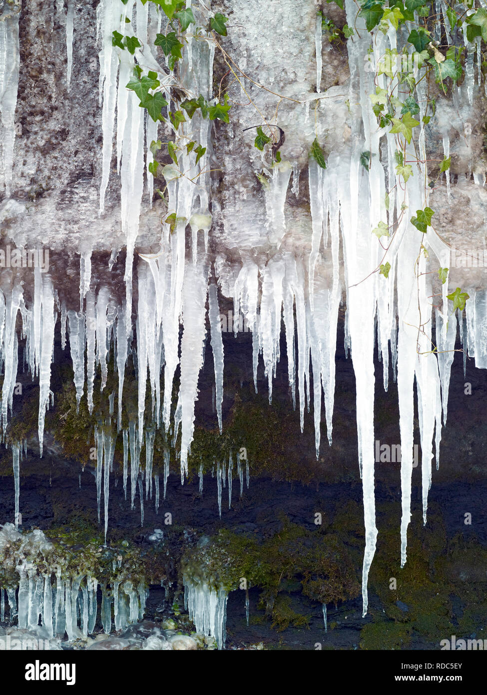 Icicles hanging from the rocks surrounding West Burton Waterfall in Wensleydale, North Yorkshire. Stock Photo