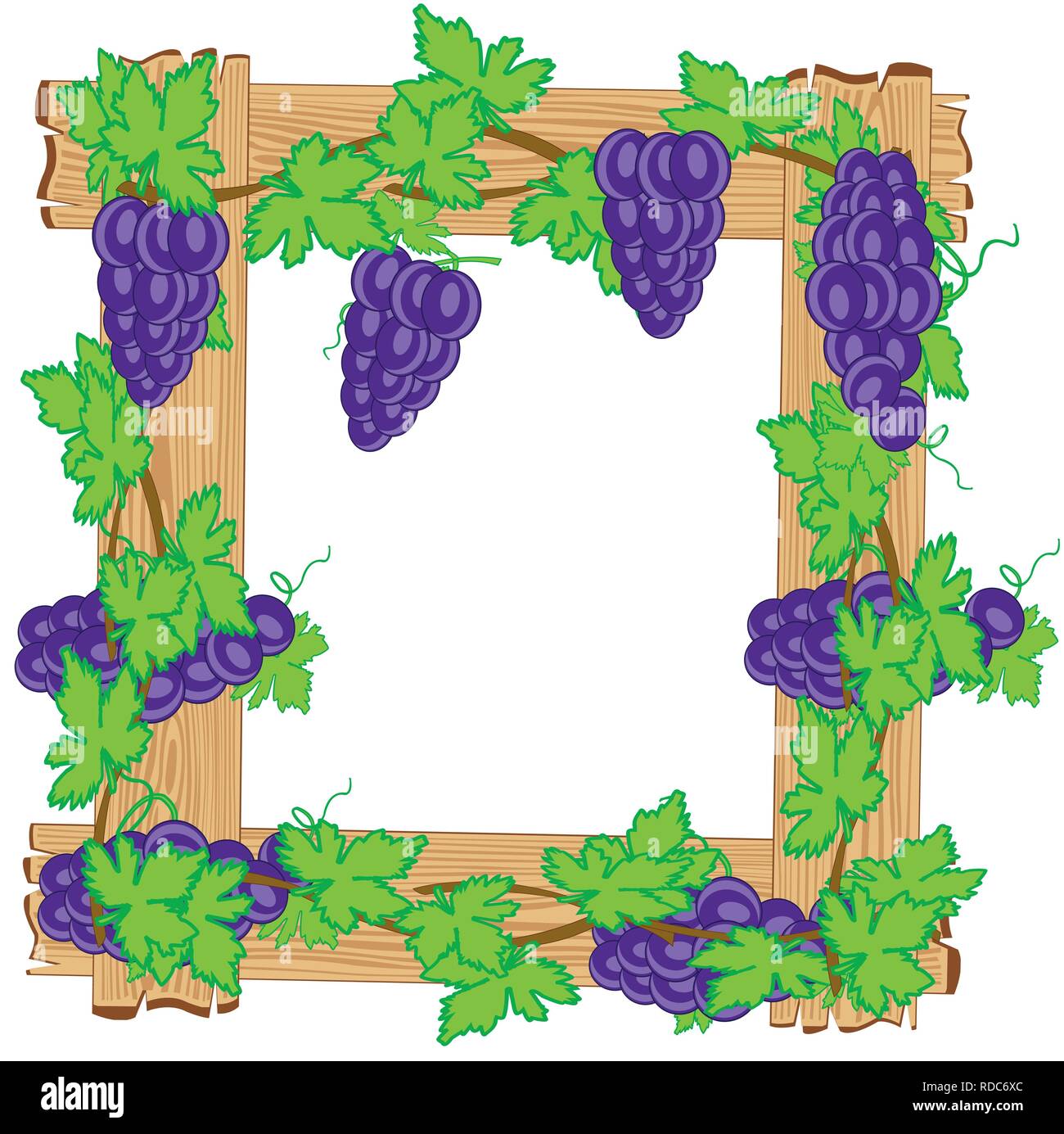 Frame from boards twining grapevine on white background Stock Vector