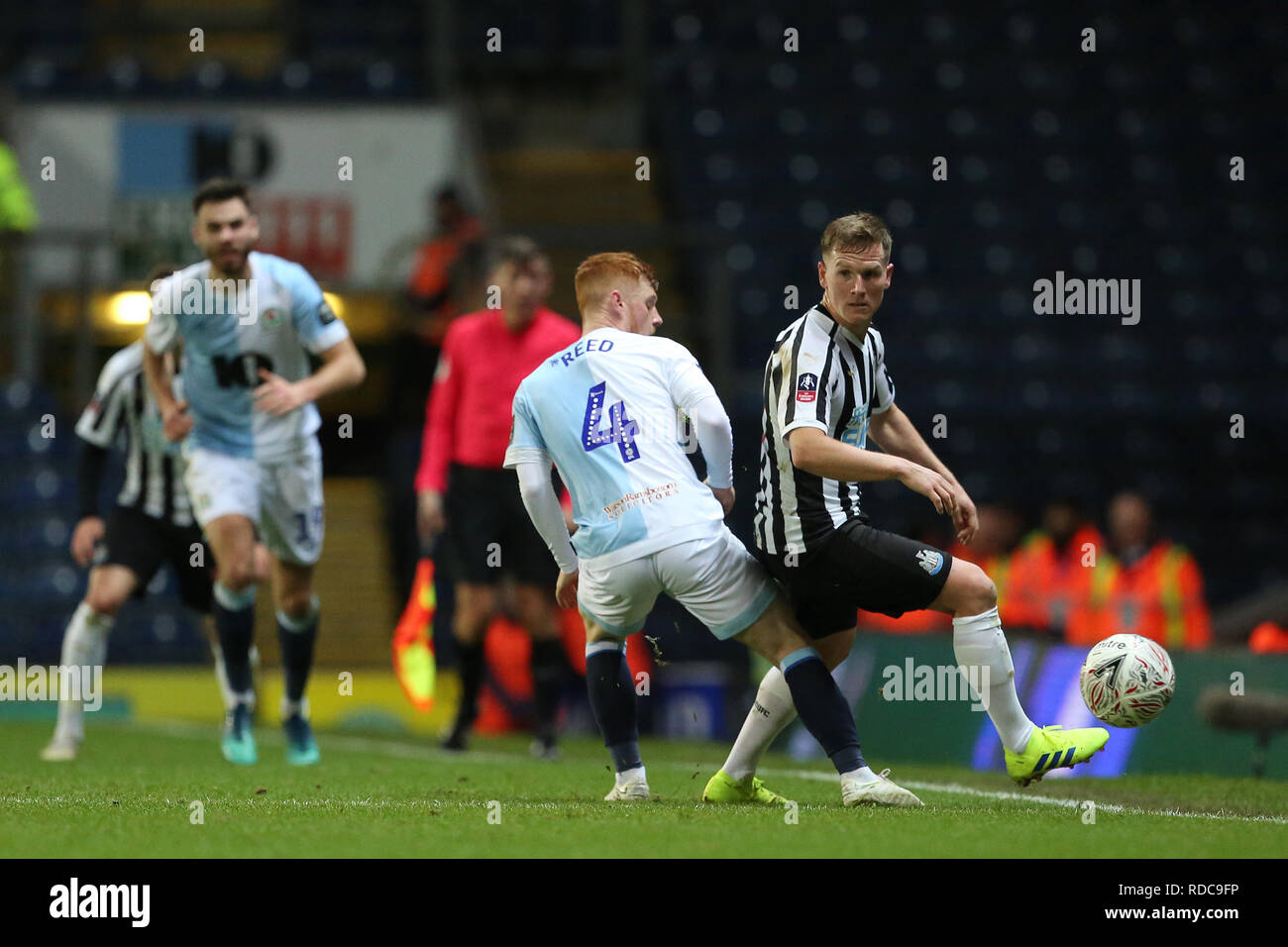 Matt reed hires stock photography and images Alamy