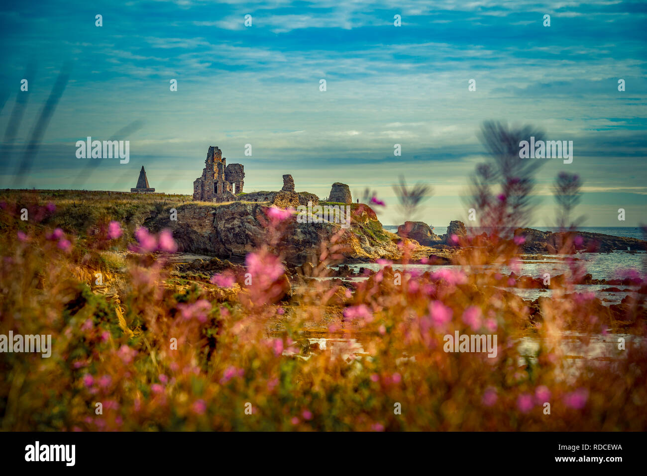 Europa, Großbritannien, Schottland, Küste, Küstenwanderweg, Fife