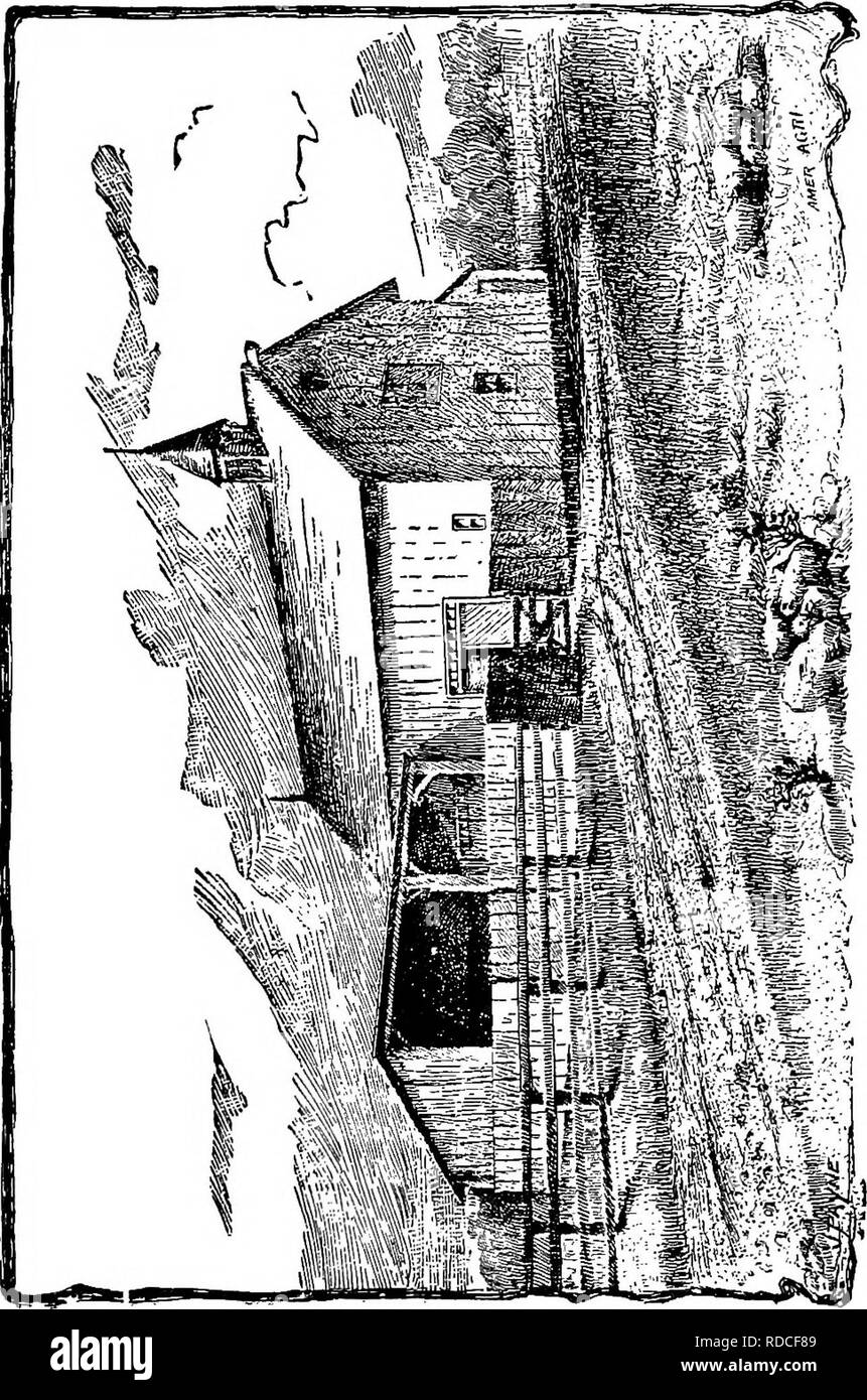 . The family horse : its stabling, care and feeding : a practical manual for horse-keepers . Horses. 60 THE FAMILY HORSE,. Please note that these images are extracted from scanned page images that may have been digitally enhanced for readability - coloration and appearance of these illustrations may not perfectly resemble the original work.. Martin, George A. , d. 1904. New York : Orange Judd Company Stock Photo