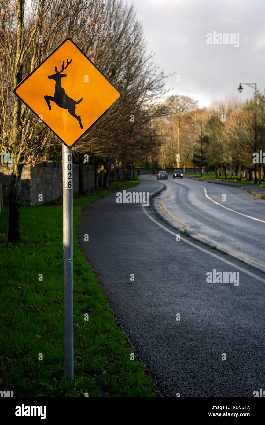 Jumping deer crossing warning yellow caution road sign, Ireland Stock