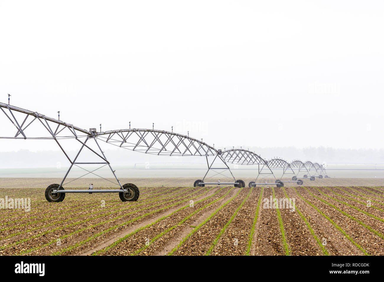 Center pivot irrigation corn hi-res stock photography and images - Alamy