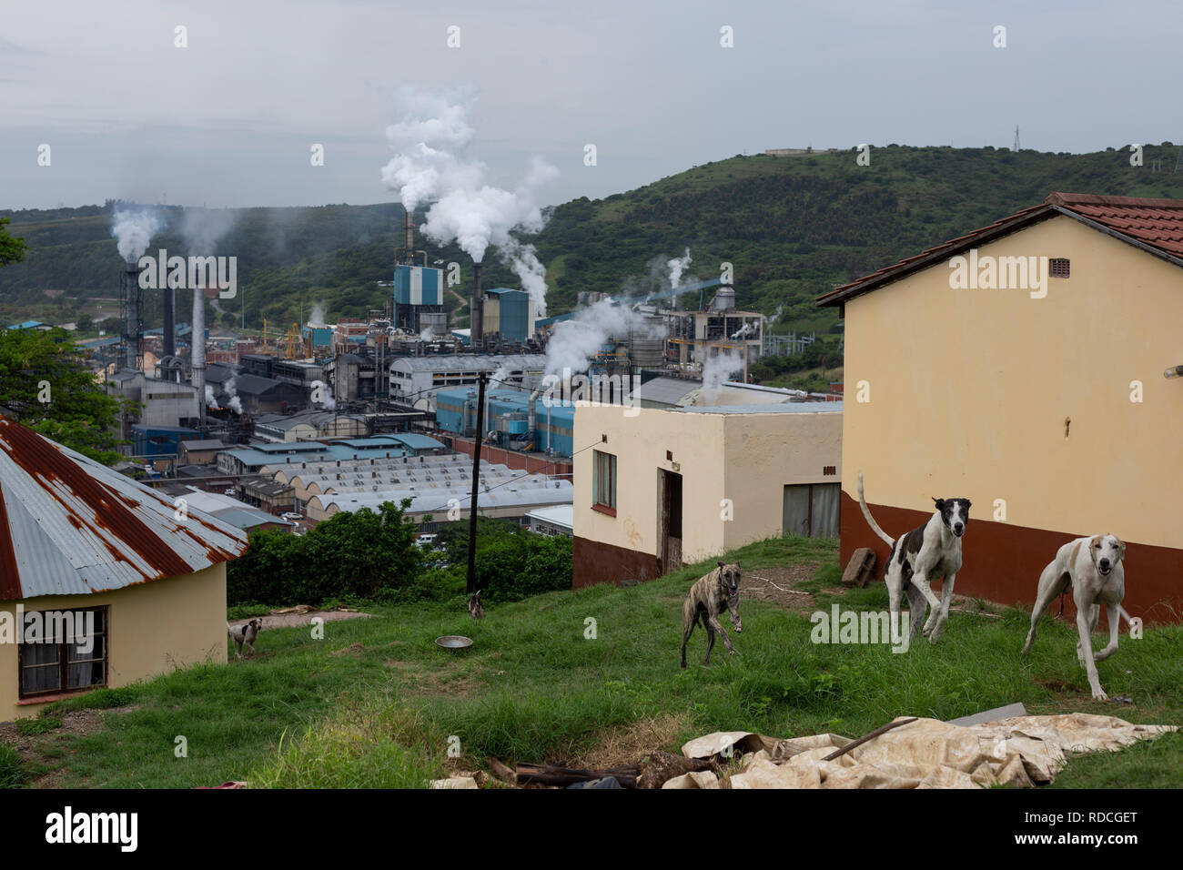 A general view of Sappi's Saicor Mill in Umkomaas where dissolving wood