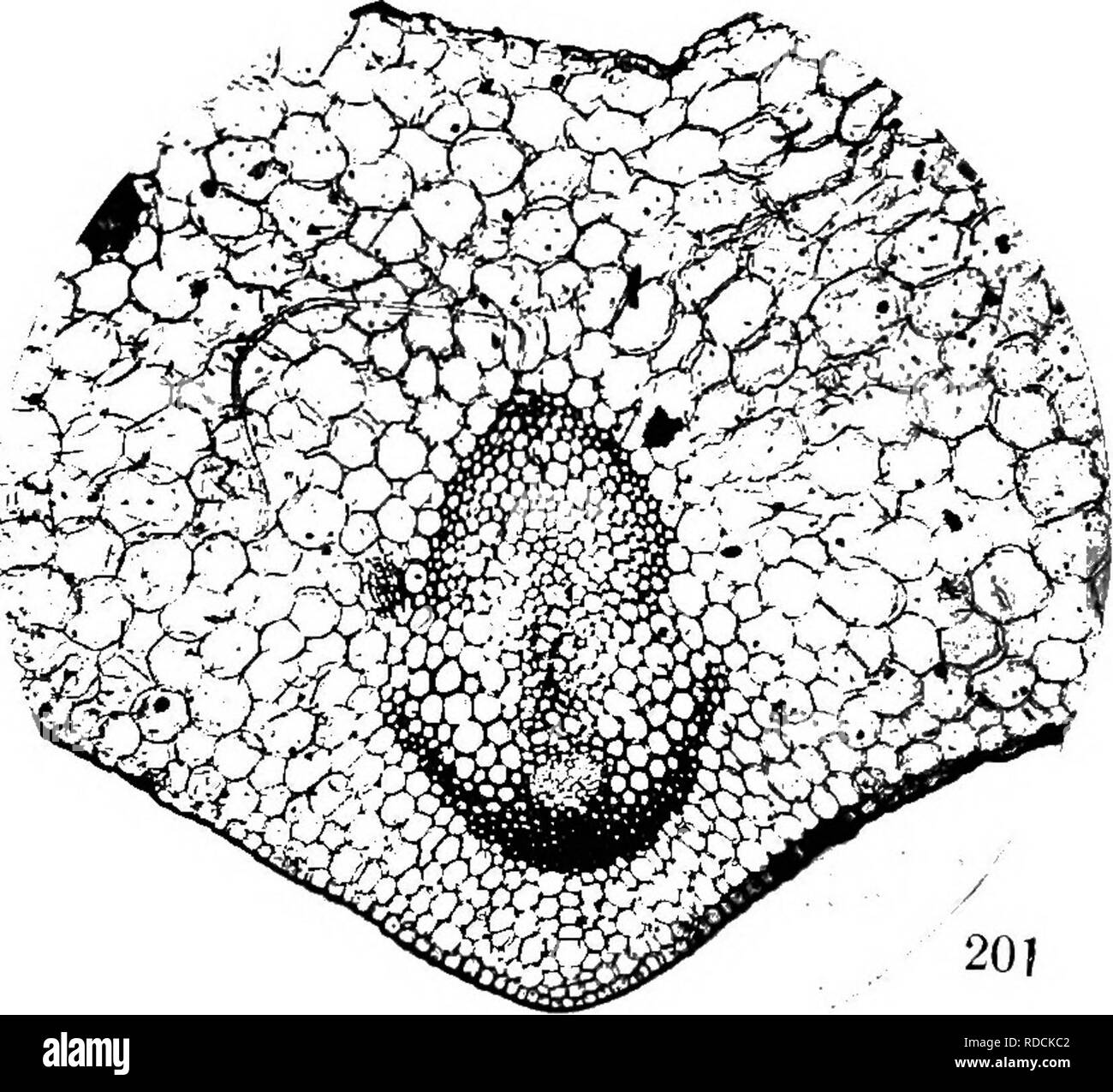 Transverse keel hires stock photography and images Alamy