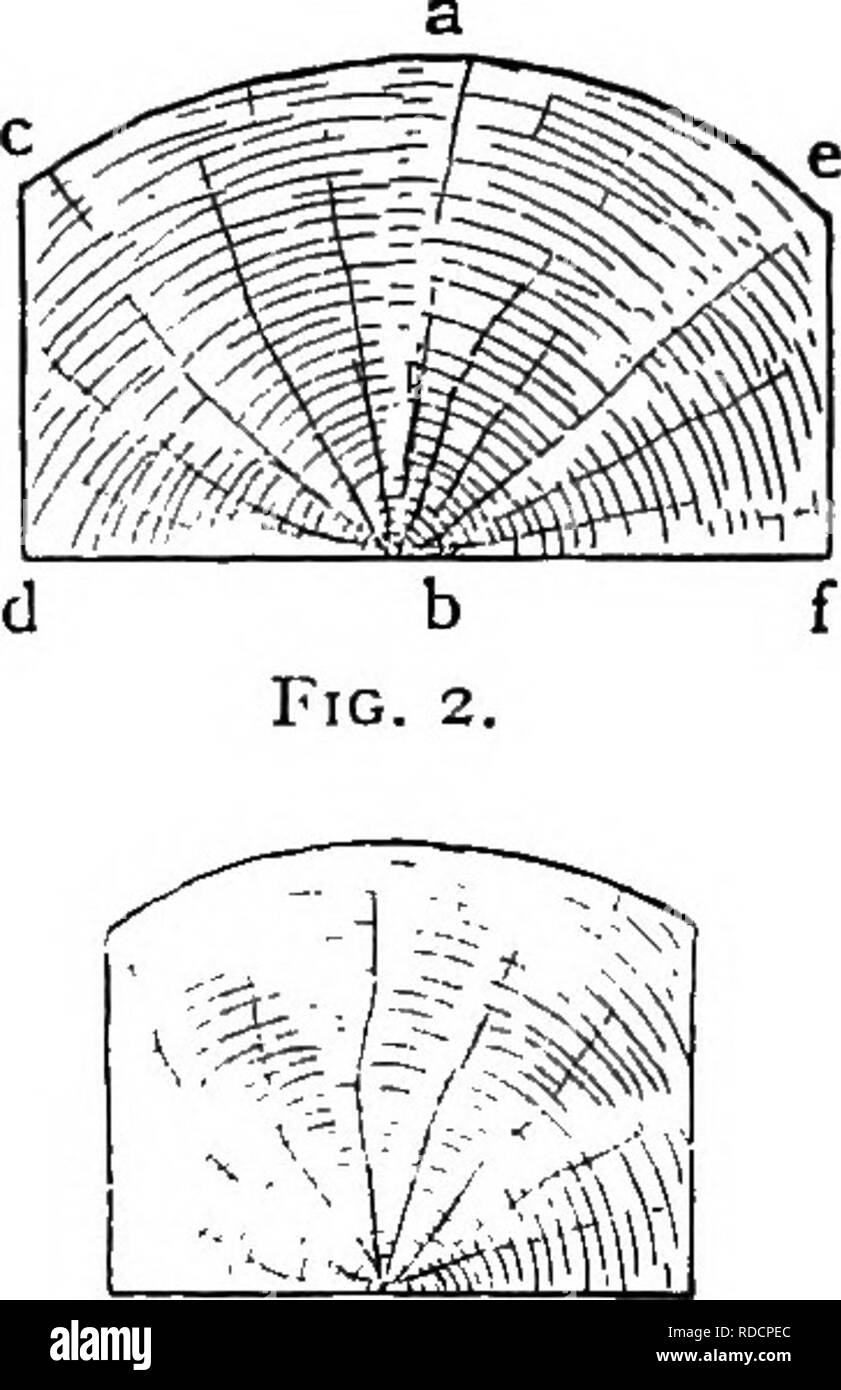 . A manual of the timbers of the world : their characteristics and uses : to which is appended an account by S. Fitzgerald of the artificial seasoning of timber. Timber. Fig. I. Fig. 5.. Fig 3.. Please note that these images are extracted from scanned page images that may have been digitally enhanced for readability - coloration and appearance of these illustrations may not perfectly resemble the original work.. Howard, Alexander Liddon, 1863-1946; Fitzgerald, S. London : Macmillan Stock Photo