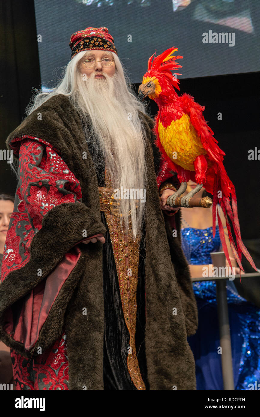STUTTGART, GERMANY - JUN 30th 2018: Cosplay Contest - Dumbledore from Harry Potter - at Comic Con Germany Stuttgart Stock Photo