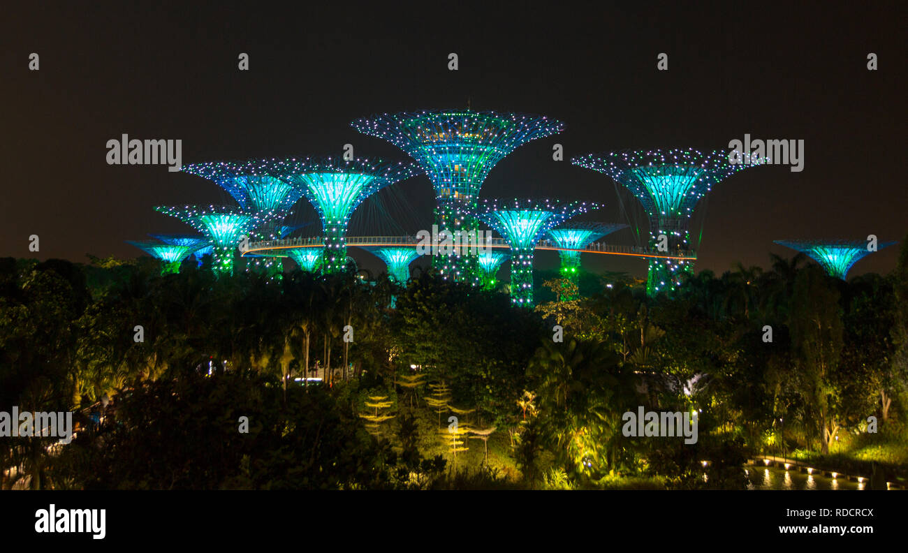 Supertree grove at night during the light show, Gardens by the Bay, Singapore Stock Photo