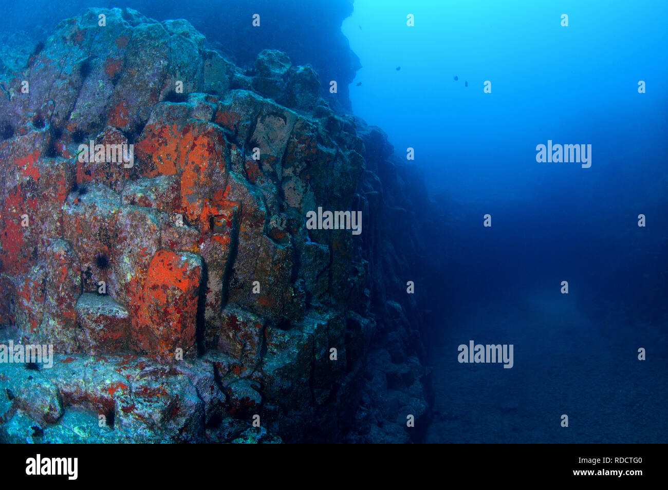 Tenerife, the canary islands diving hires stock photography and images