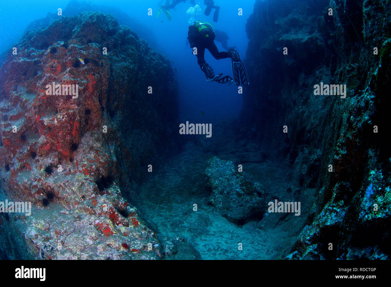 Scuba Diving n Tenerife Canary Islands Stock Photo Alamy