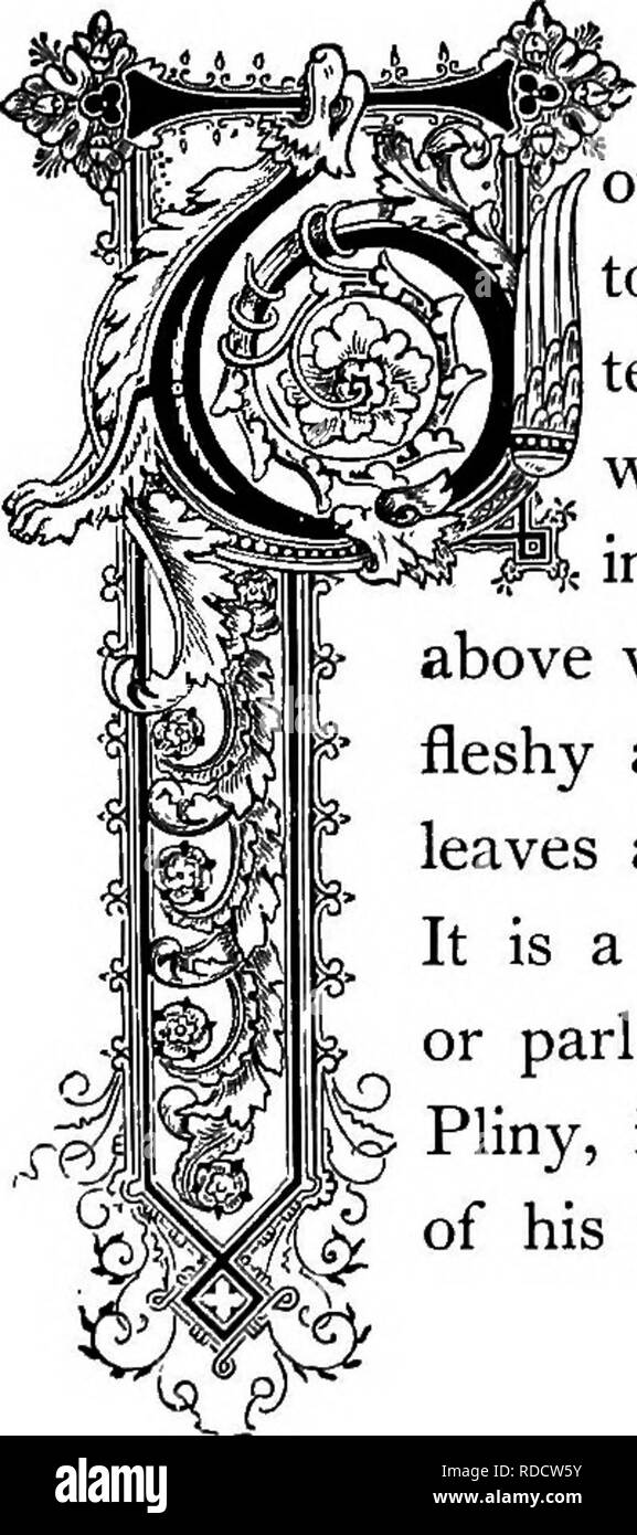 Wait for a shoot Cut Out Stock Images & Pictures Alamy