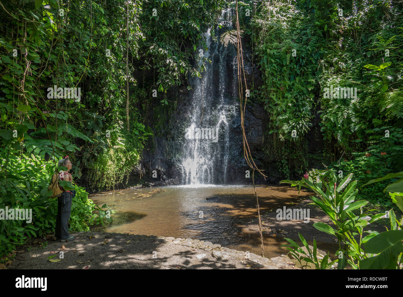 French Polynesia, Tahiti, Vaipahi gardens waterfall Stock Photo
