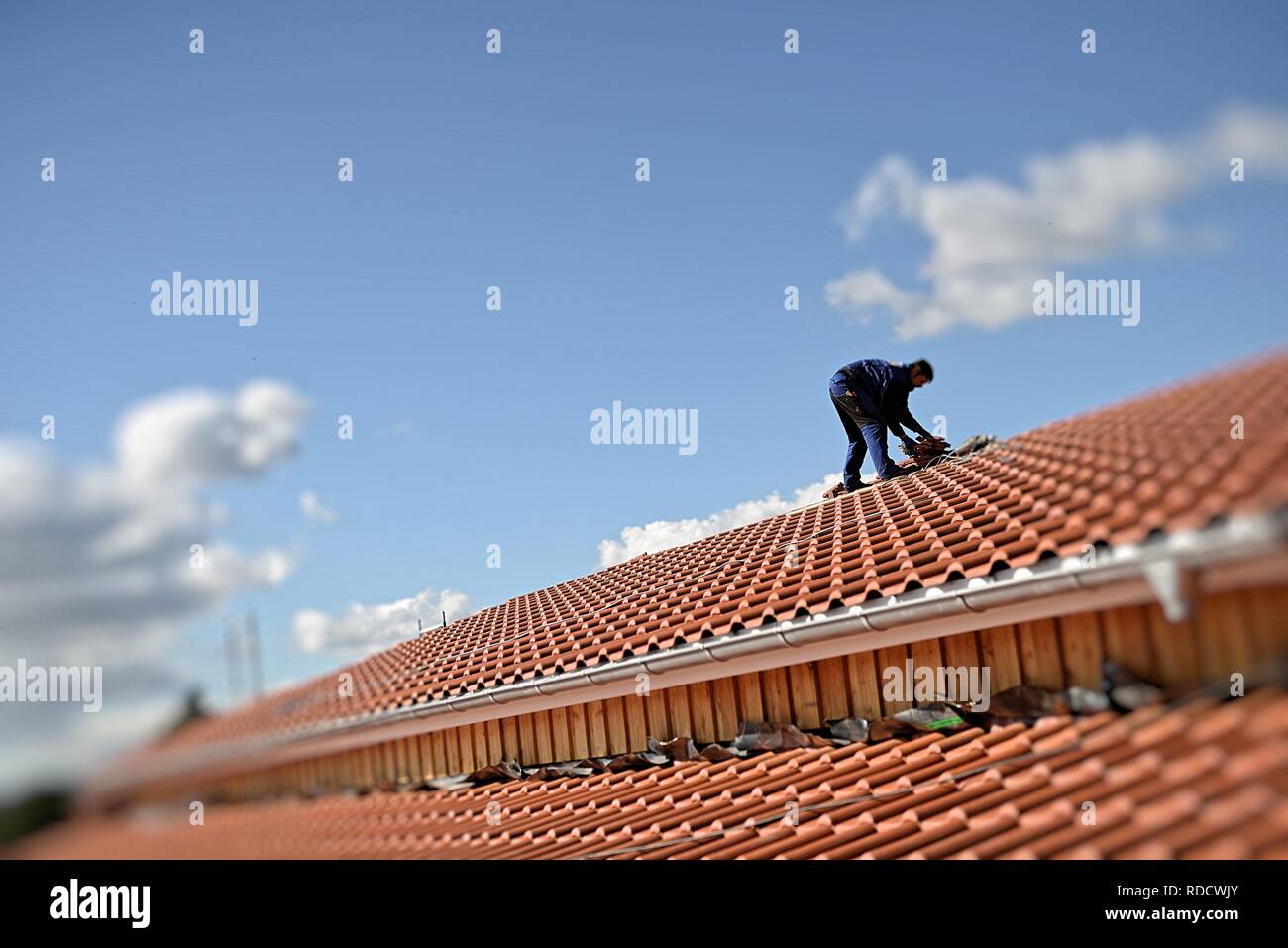 Dachdecker, Bauarbeiter männlich, in der Sonne beim Dach reparieren oben auf dem Haus Stock Photo