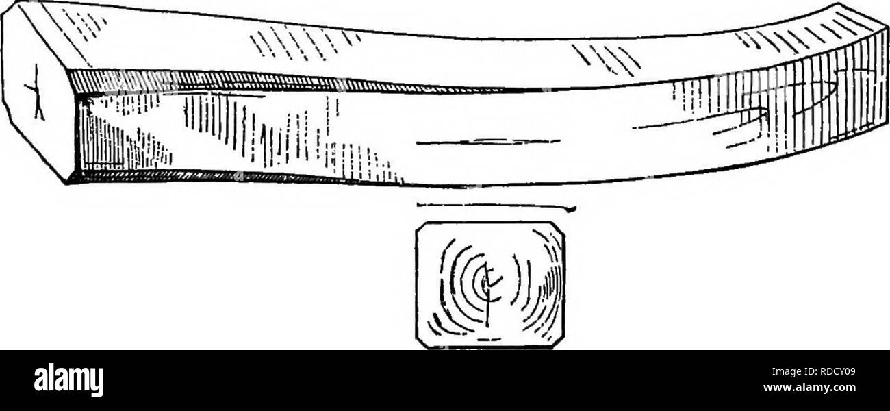 . Timber and timber trees, native and foreign . Timber; Trees. 86 ...