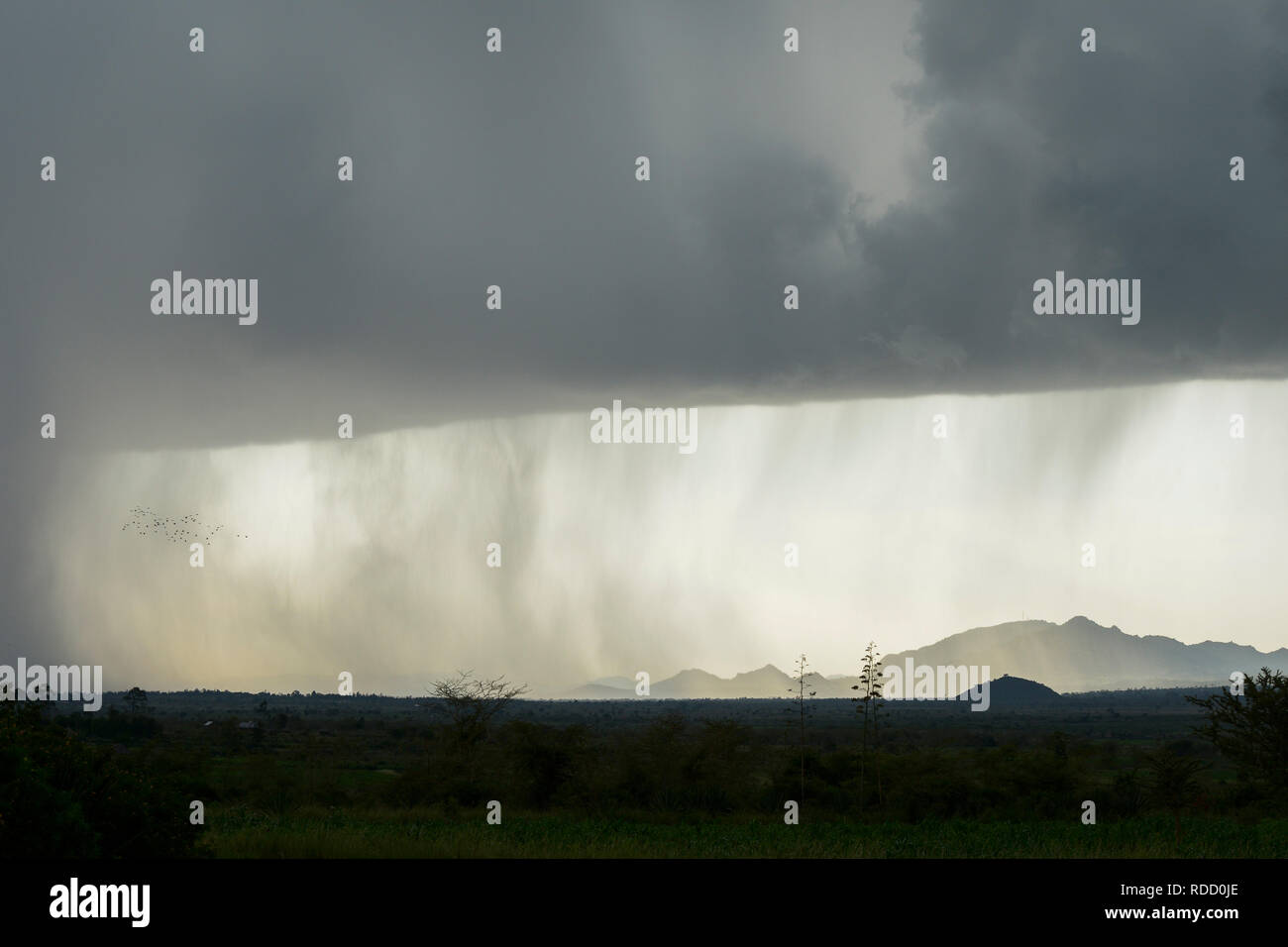TANZANIA, Tarime, raining over mountain range / TANSANIA, Tarime, Regenwolken ueber Bergmassiv Stock Photo
