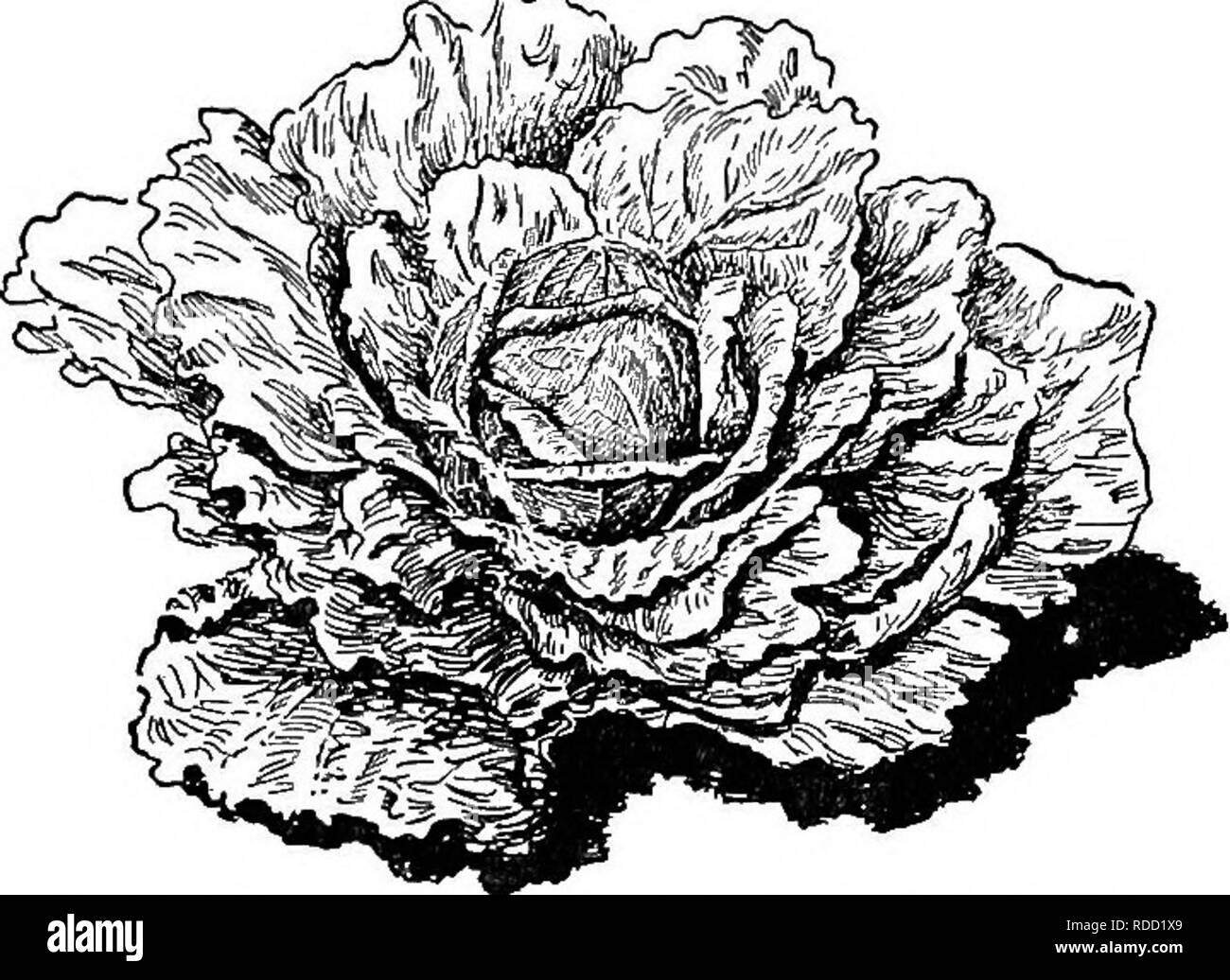 Loamy soil Black and White Stock Photos & Images - Alamy