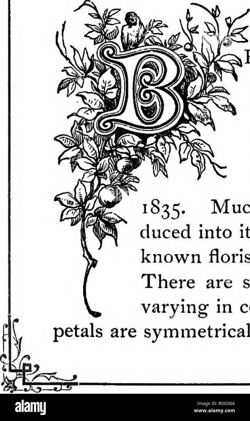 Flower markings Black and White Stock Photos & Images Alamy