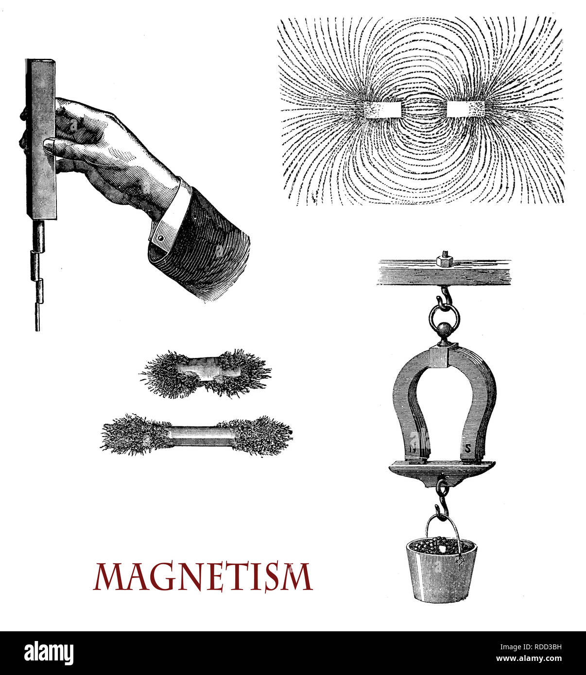 Physics lab applications:ferromagnetic materials are strongly attracted by magnetic fields and can be magnetized to become permanent magnets, producing magnetic fields themselves Stock Photo