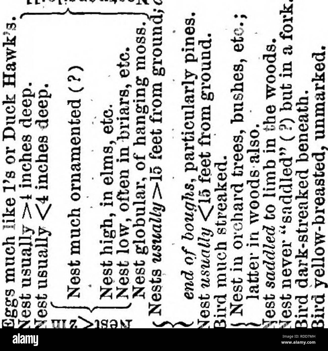 Page 3 Qj K High Resolution Stock Photography And Images Alamy Page 3 Qj K High Resolution Stock Photography And Images Alamy