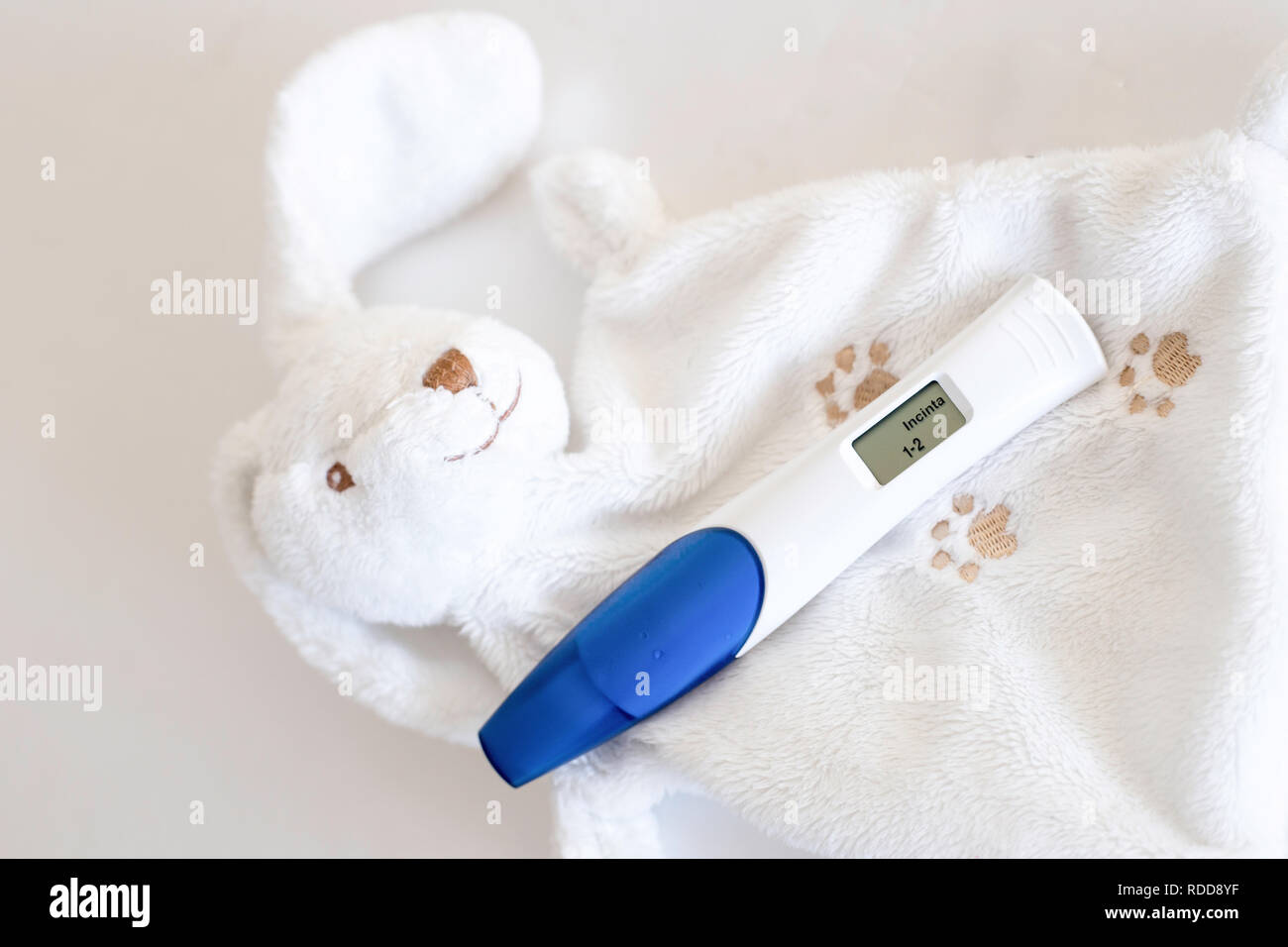 Pregnancy test and rabbit toy Stock Photo - Alamy