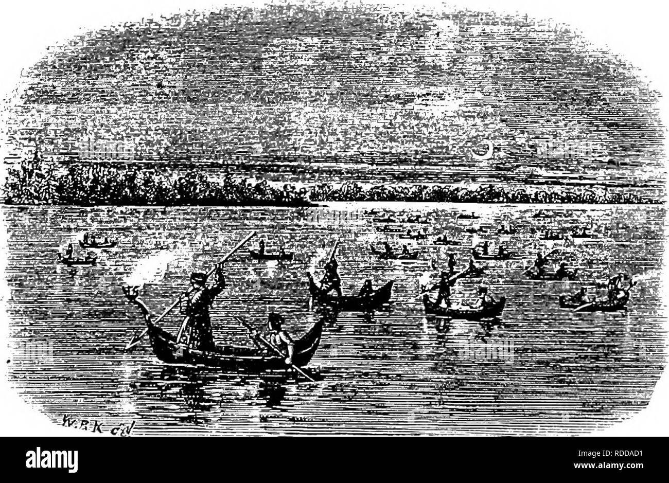 . The sportsman and naturalist in Canada, or Notes on the natural history of the game, game birds, and fish of that country. Zoology; Game and game-birds; Hunting. 252 FISHERIES. grounds,&quot; or flats, the water is not more than four or five feet deep, and these shallows occupy a very large portion of the lake; the main channel, which is about five fathoms in depth, being very narrow. Though eels usually migrate twice in the year, that is, to and from the sea, wintering in the brackish water of its estuaries, and returning in early summer, they will live and breed perfectly well in inland la Stock Photo