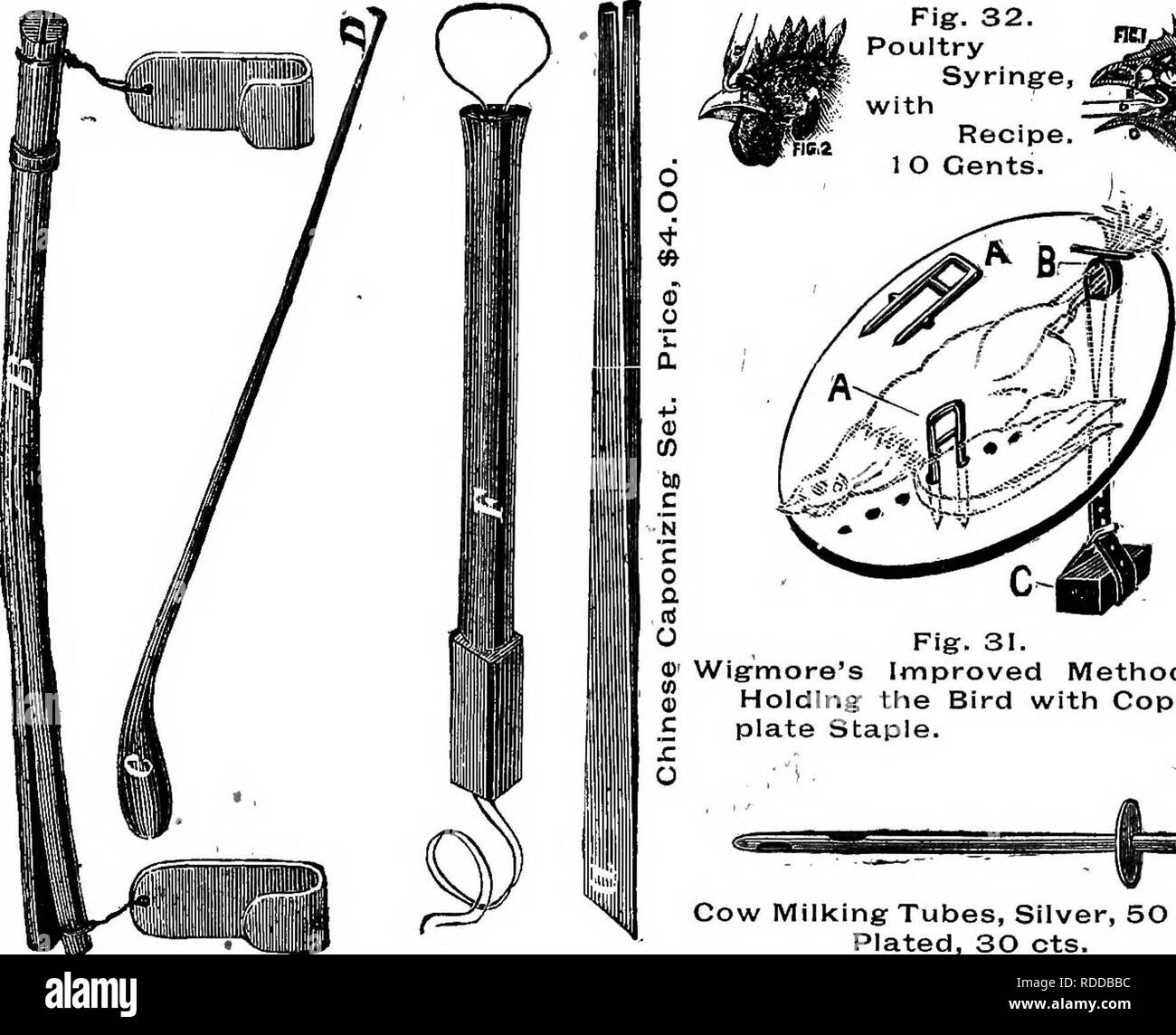 . Premium list and regulations governing the first annual exhibition of the New York Poultry Exchange : to be held at Madison Square Garden, New York, Dec. 14-21, 1887. Poultry. Fig. 32. Poultry Syringe, with Recipe. 1 O Cents. ai^i Fig. 31. Wig'more's Improved Method cf Holding the Bird with Copper- plate Staple. Cow Milking Tubes, Silver, 50 cts.; Plated, SO cts. Fig. 26. Knife for enlarging the Opening in Cow's Teats. $2.00.. Please note that these images are extracted from scanned page images that may have been digitally enhanced for readability - coloration and appearance of these illustr Stock Photo