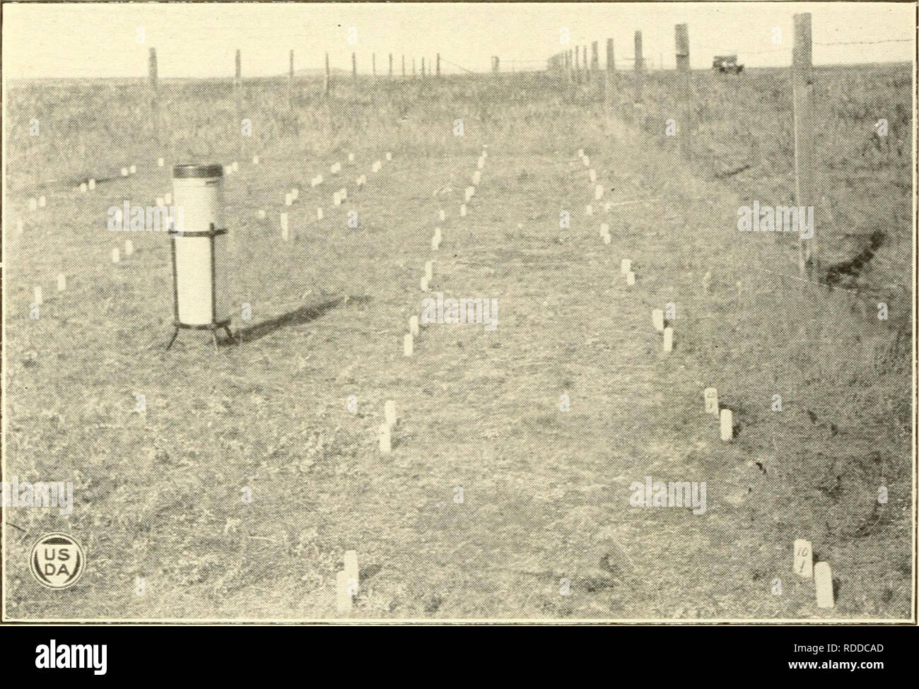 . Effects of different systems and intensities of grazing upon the native vegetation at the Northern Great Plains Field Station. Grazing; Forage plants; Agricultural systems. Fig. I.—Close View of a Single Plant of Artemisia frigida in the 30-Acre Pasture. Tin plani was in inches tall and had 36 flower stalks. This aff&lt; rds an idea of the size a single planl may attain. June, L920.. Fig. 2.—View of the Clipped Quadrats in the Isolation Transect of THE 100-ACRE PASTURE. The quadrat cut every 10 days is in the foreground. The duplicates are on the left. October, 191«J.. Please note that these Stock Photo