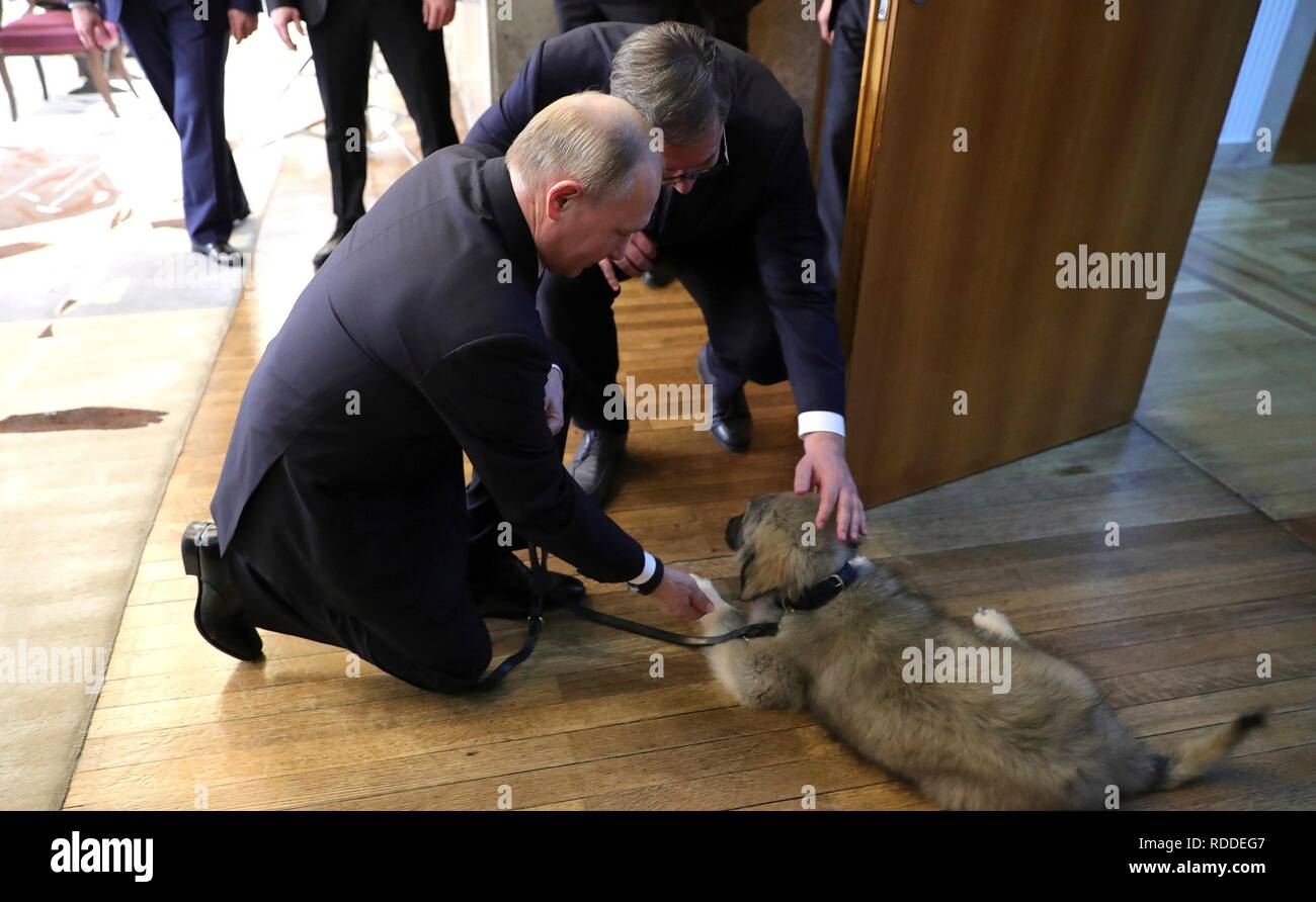 Russian president vladimir putin puppy hi-res stock photography and images - Alamy Russian president vladimir putin puppy hi-res stock photography and images - Alamy