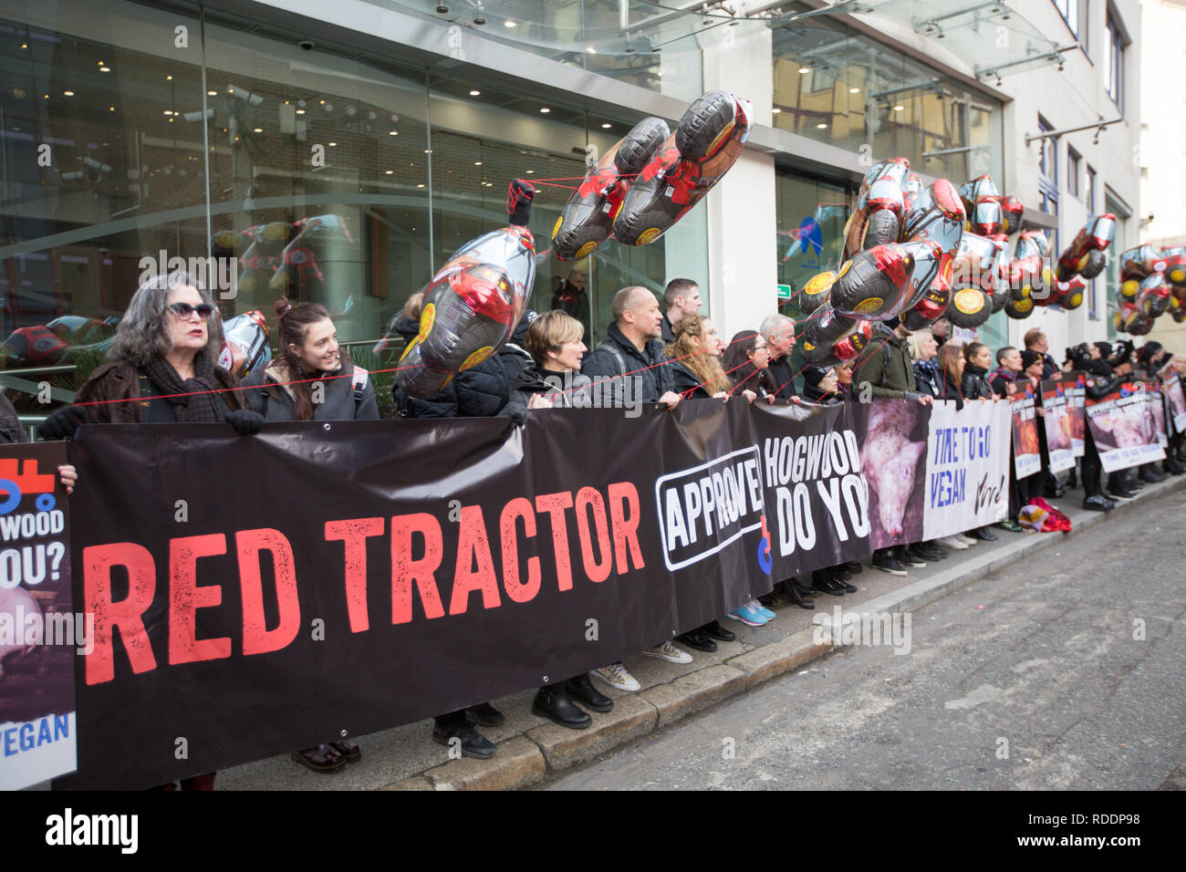 London, UK. 18th Jan 2019. Vegan activists protest Red Tractors practices in London Credit: George Cracknell Wright/Alamy Live News Stock Photo