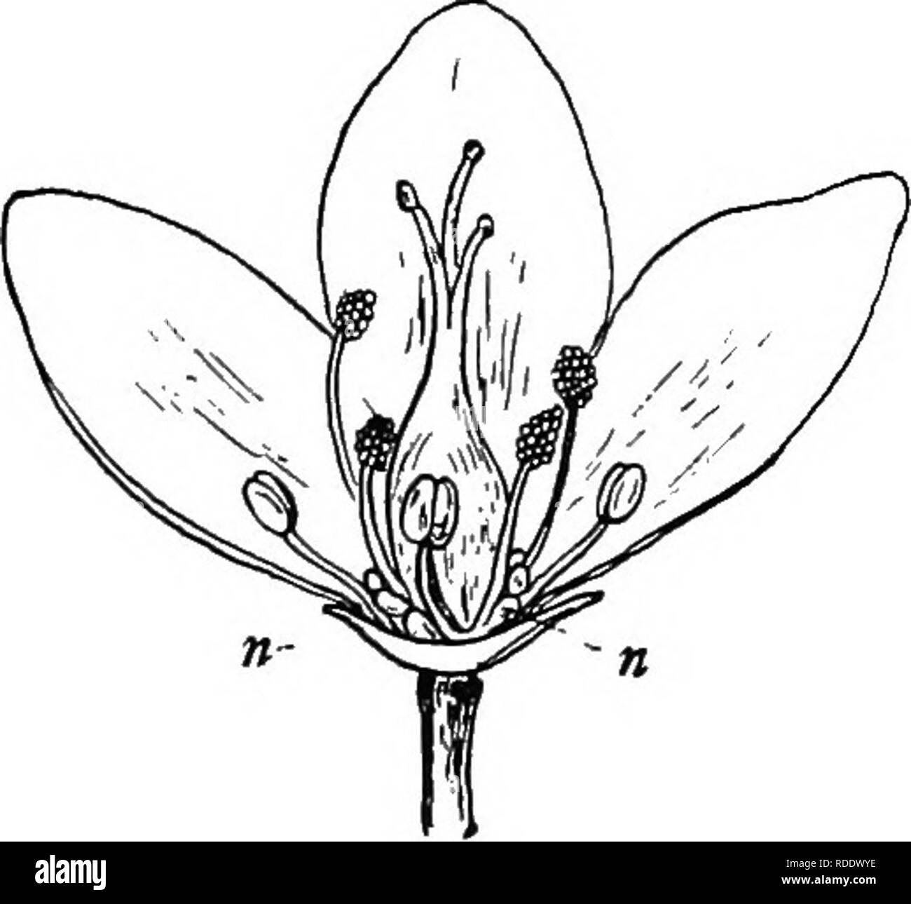 Botany for agricultural students . Botany. REPRODUCTIVE ...