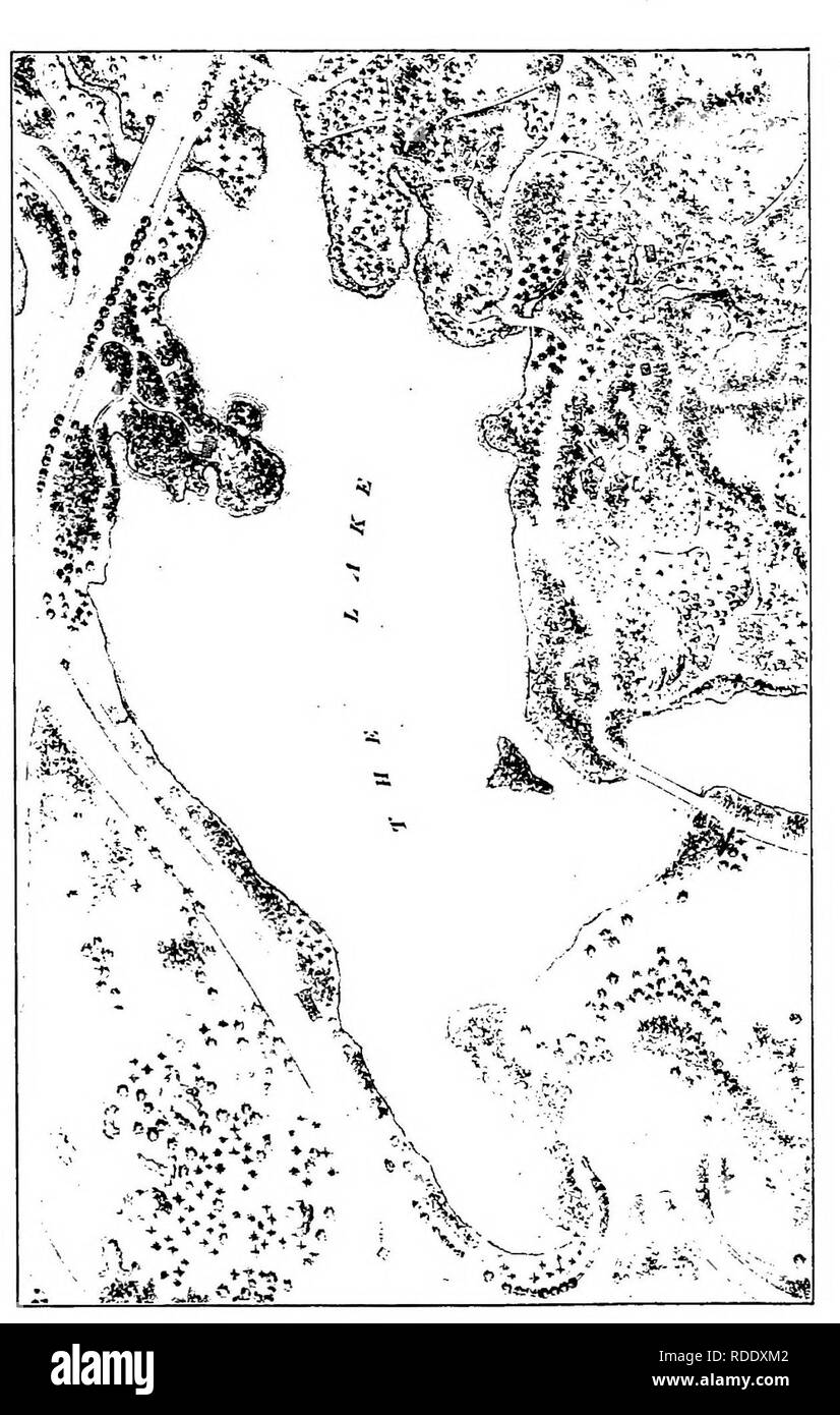 . Trees, shrubs and vines of the northeastern United States : their characteristic landscape features fully described for identification by the non-botanical reader ; together with an account of the principal foreign hardy trees, shrubs and vines cultivated in our country, and found in Central Park, New York City . Trees; Shrubs; Parks. THE LAKE The arrow shows the starting-point and the direction of the route.. Please note that these images are extracted from scanned page images that may have been digitally enhanced for readability - coloration and appearance of these illustrations may not pe Stock Photo