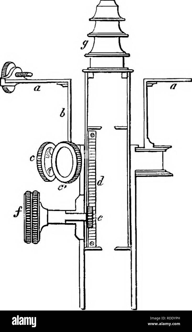 . A practical treatise on the use of the microscope, including the different methods of preparing and examining animal, vegetable, and mineral structures. Microscopes; Microscopy. 114 PRACTICAL TREATISE ON THE MICROSCOPE. other, to the outer one, b, is attached a flat plate, a, which slides underneath the stage, and is adjusted for distance by the screw, f; at c is seen a milled head, which is connected to a pinion, and by means of a rack attached, the inner tube, carrying the achromatic combination, d, is raised or depressed; the upper part of the outer tube, b, is larger than that at c, this Stock Photo