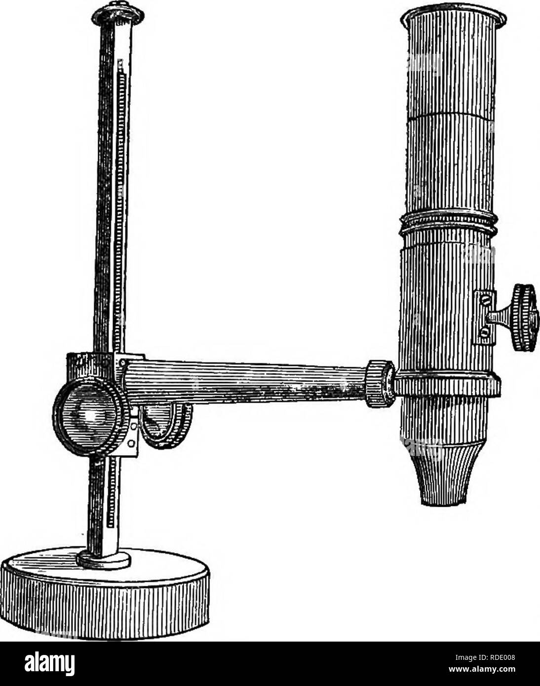 . A practical treatise on the use of the microscope, including the different methods of preparing and examining animal, vegetable, and mineral structures. Microscopes; Microscopy. THE SIMPLE MICROSCOPE. 53 arm, /, nine inches long, provided at its free end, a, with a stout ring, ff, into which either a compound body may be screwed, as seen in fig. 32, or a lens, ^, set in a large cell may drop. The com- pound body, it will be seen, has also a rack and pinion mo- tion of one inch in extent for a fine ad- justment, and the body itself may be inclined at any angle by means of a swivel joint to th Stock Photo