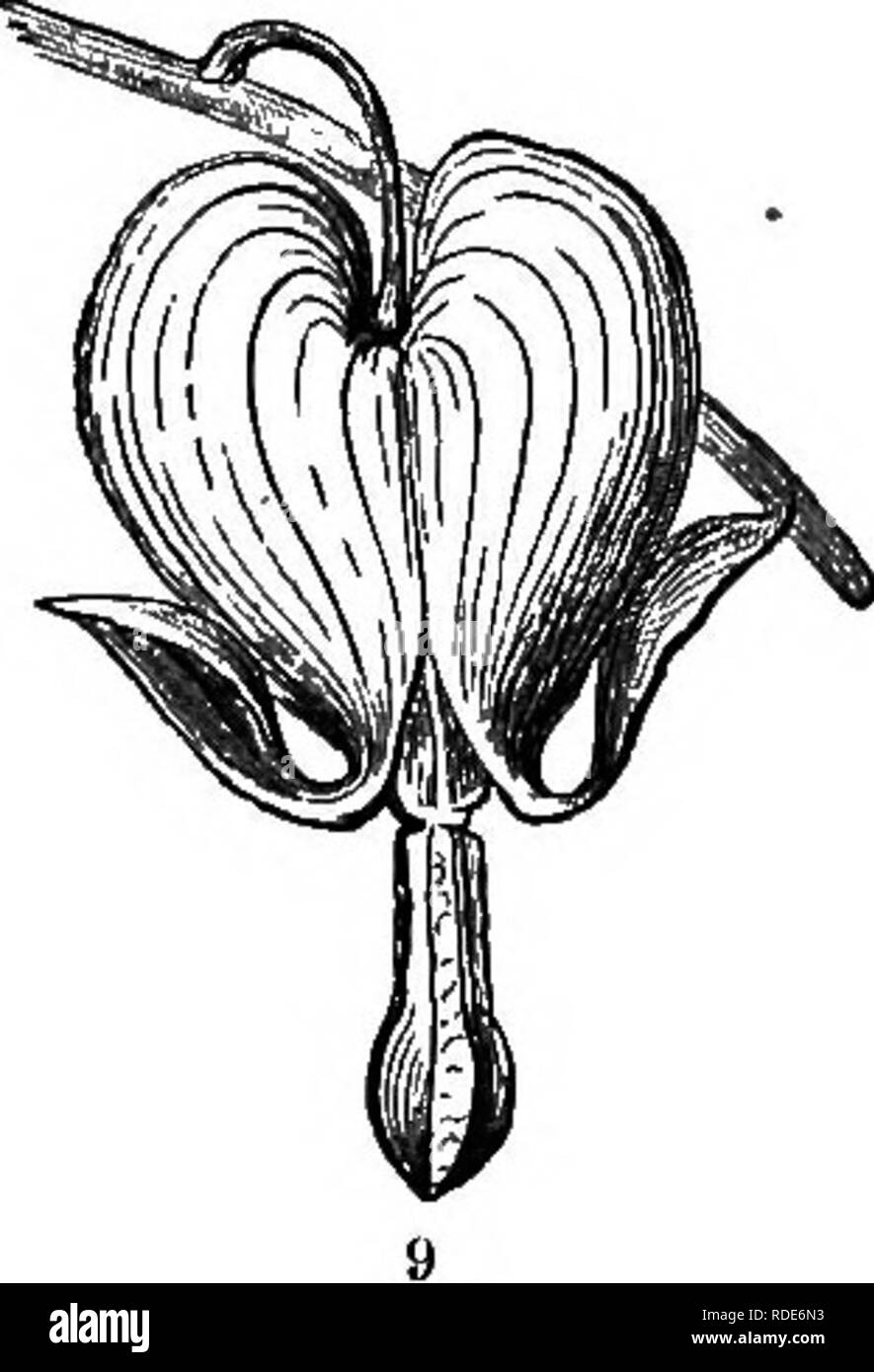 Why do we need insects hires stock photography and images Alamy