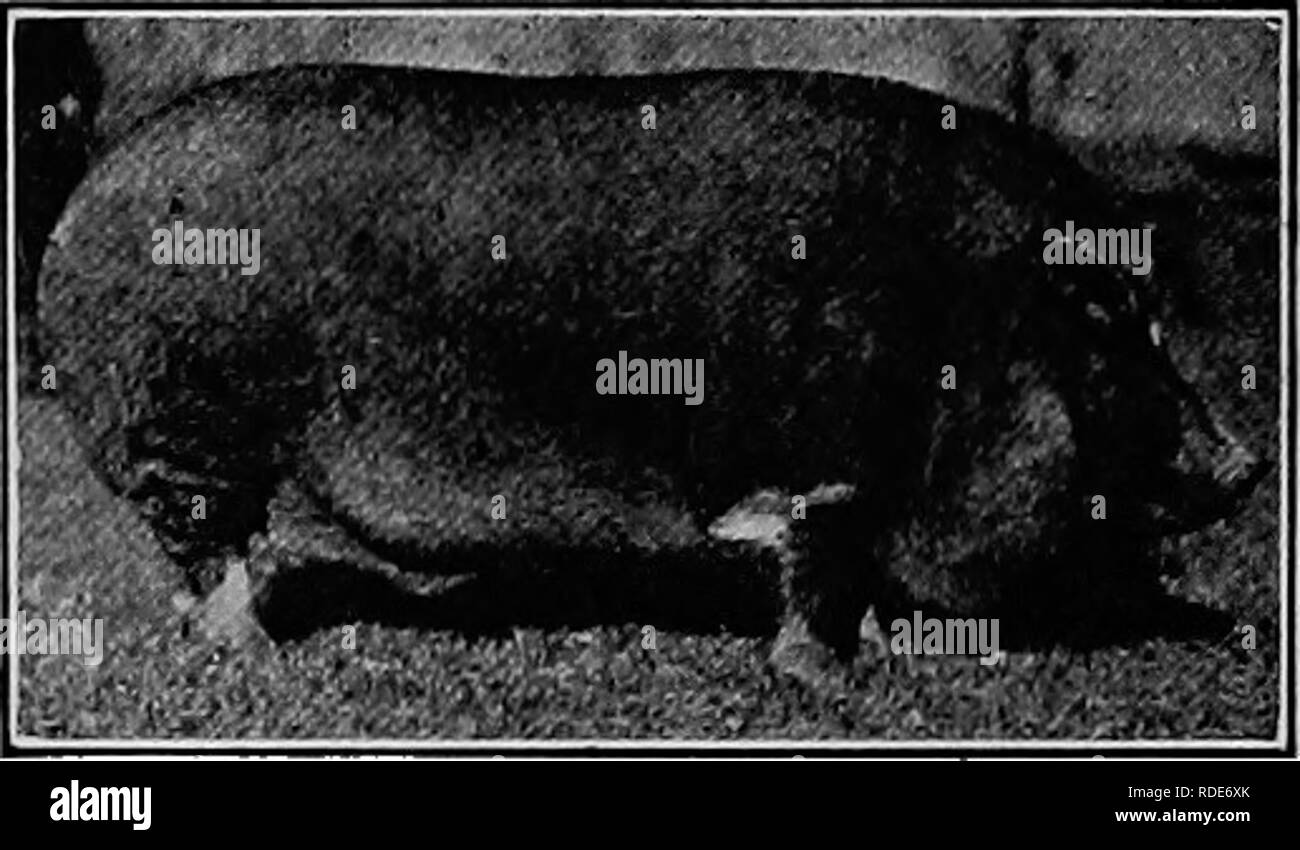 page 5 350 year old high resolution stock photography and images alamy