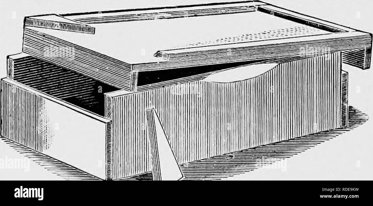 . The bee-keeper's guide : or Manual of the apiary . Bee culture; Bees. 326 The beb-keepbr's guide ; The bottom-board (Fig, 94) has a raised rim. Thus the frames are one-half inch from the bottom. Of course, the bottom-board is loose. Mr. Heddon recommends single-stor^' wide-frames with separators for the sections. These are also secured by the screws, and so any frame or the whole case can be reversed at will. Of course, the old Heddon case without separators could be used, but could not be reversed. The points of excellence claimed for this hive, and I know from my experience that they are r Stock Photo