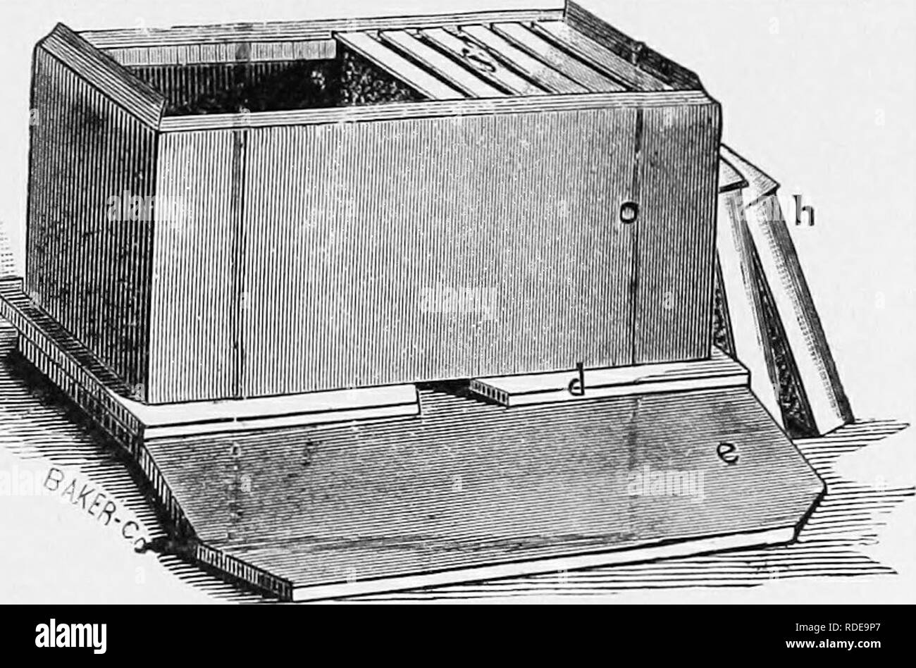 . The bee-keeper's guide : or Manual of the apiary . Bee culture; Bees. Two-story Langstroth Hive (Oallup Frame.) —Original. a Cover hinged to hive. c Brood-chamber, e Alighting-board. Brood-frames. 6 Upper story. d Bottom-board. i Wide section-frames. , h Frames outside hive.. Please note that these images are extracted from scanned page images that may have been digitally enhanced for readability - coloration and appearance of these illustrations may not perfectly resemble the original work.. Cook, Albert John, 1842-1916. Chicago. Ill. : George W. York &amp; Co. Stock Photo