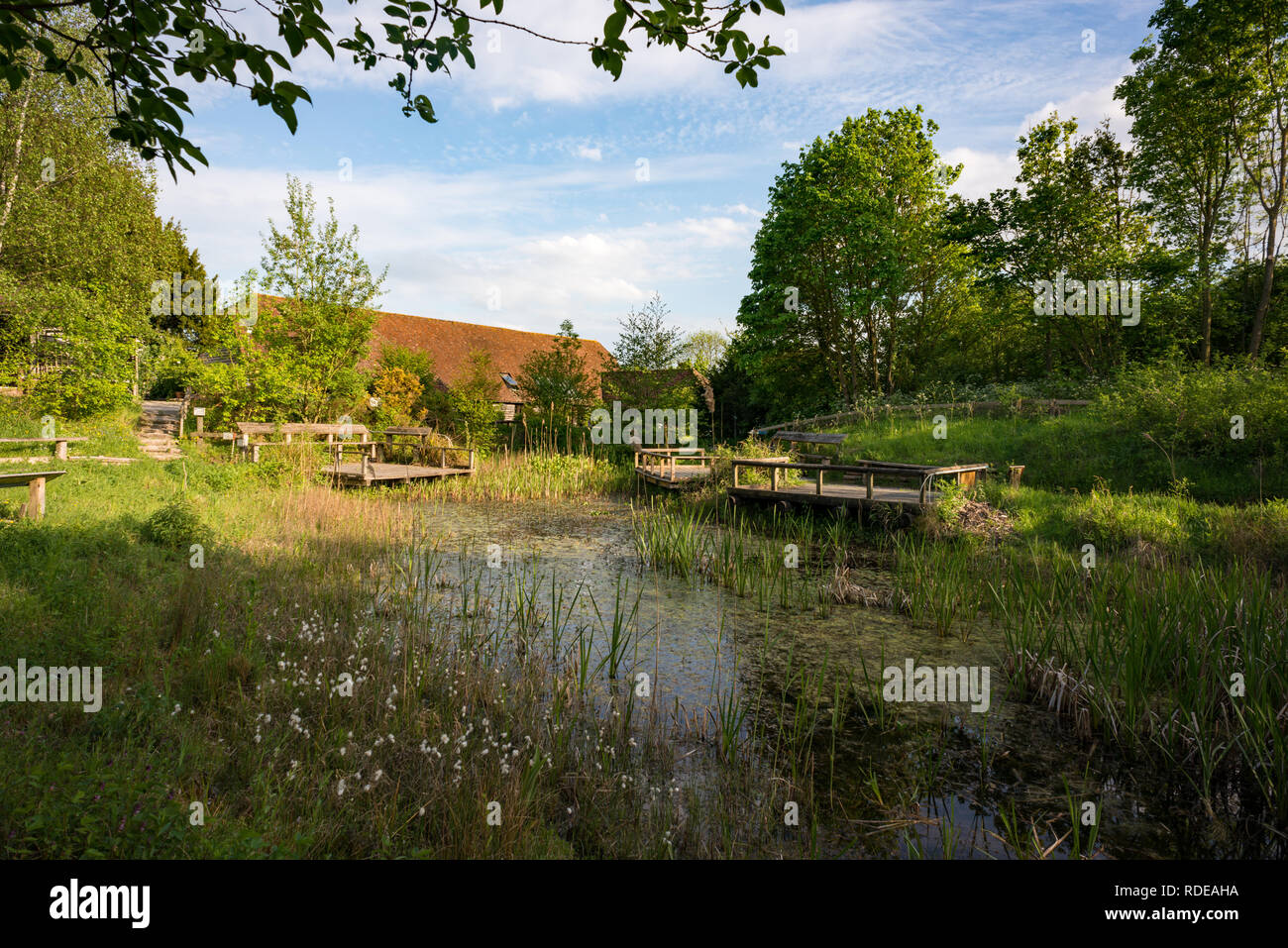 Tyland Barn Nature Reserve near Maidstone in Kent Stock Photo