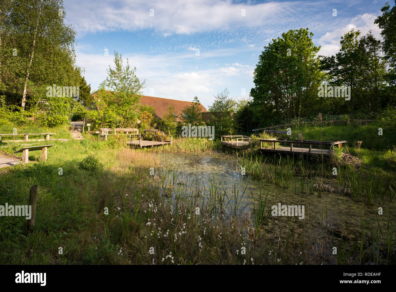 Tyland Barn Nature Reserve near Maidstone in Kent Stock Photo