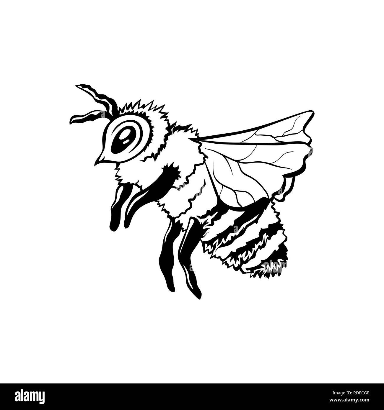 Honey Bee, Outline Logo Design. Isolated Vector. Black Engraved Element. Vintage Style Illustration of Flying Wasp Stock Vector
